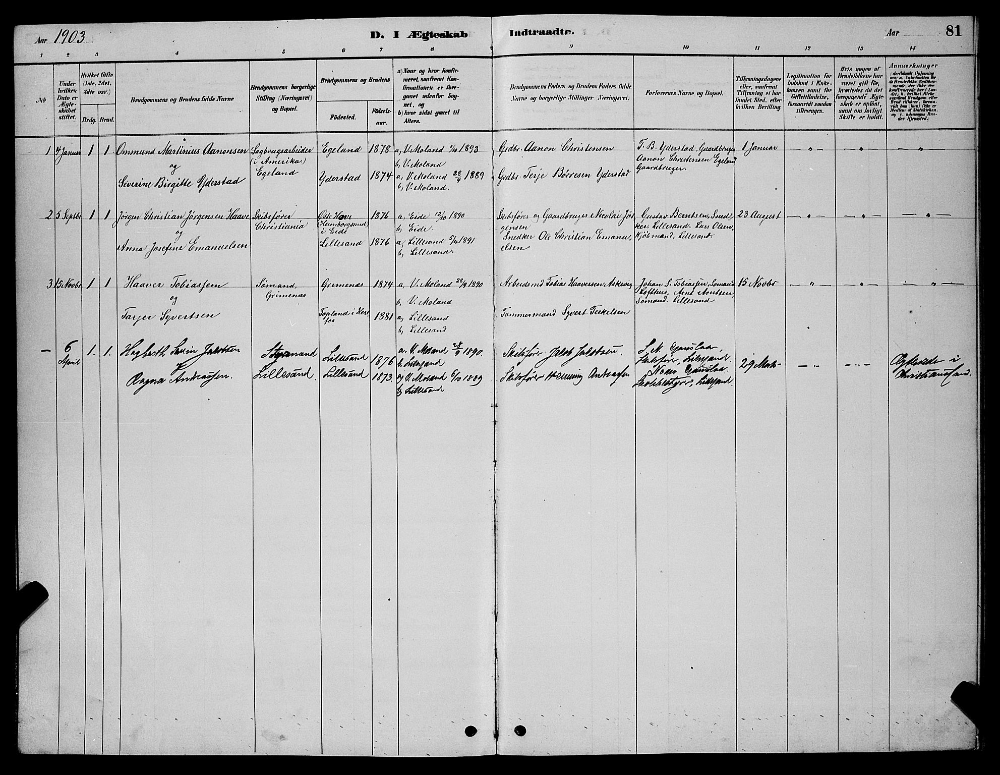 Vestre Moland sokneprestkontor, SAK/1111-0046/F/Fb/Fba/L0001: Parish register (copy) no. B 1, 1884-1903, p. 81