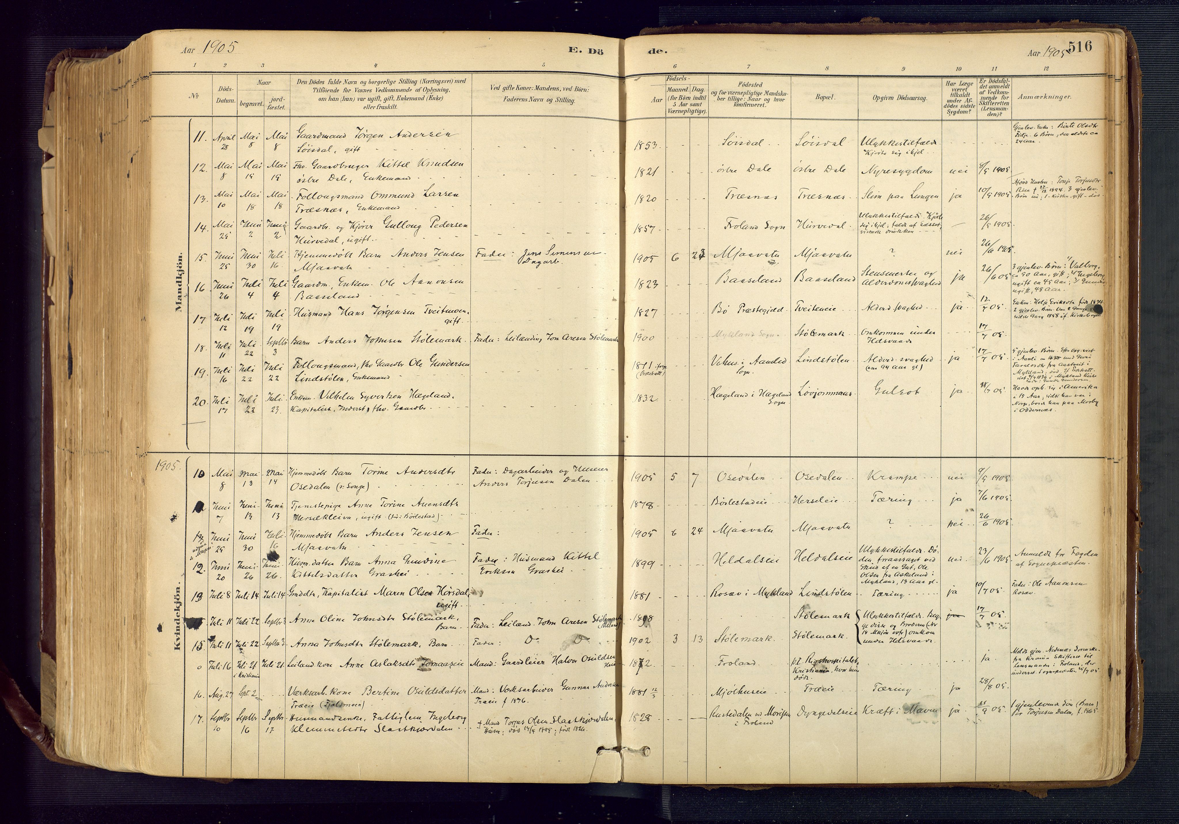 Froland sokneprestkontor, AV/SAK-1111-0013/F/Fa/L0005: Parish register (official) no. A 5, 1882-1921, p. 516