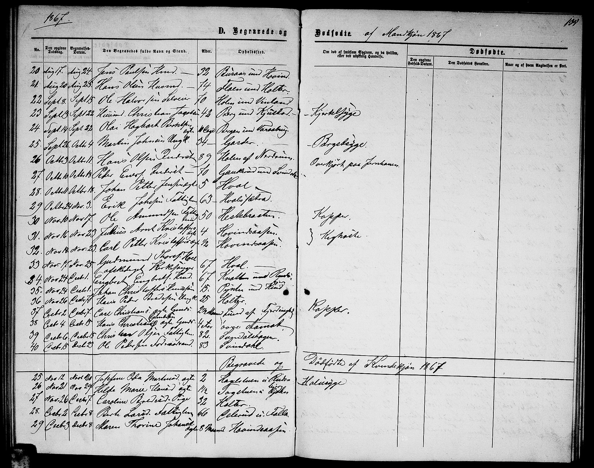 Fet prestekontor Kirkebøker, AV/SAO-A-10370a/G/Ga/L0003: Parish register (copy) no. I 3, 1860-1867, p. 135