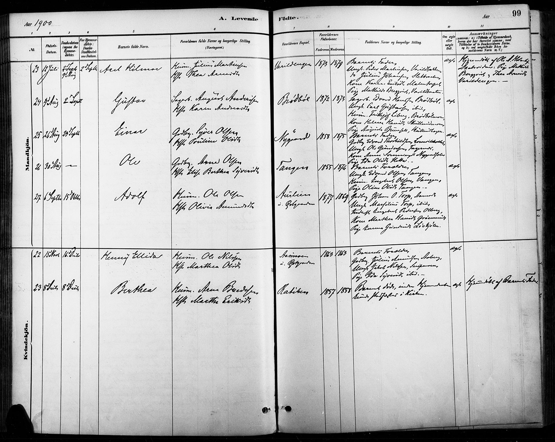 Vinger prestekontor, AV/SAH-PREST-024/H/Ha/Haa/L0015: Parish register (official) no. 15, 1881-1900, p. 99