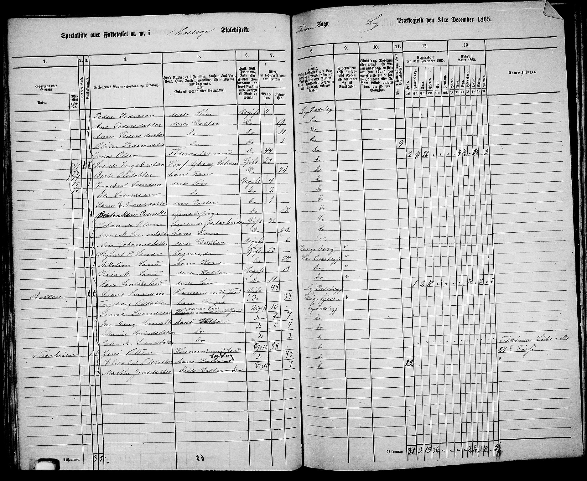 RA, 1865 census for Lye, 1865, p. 90