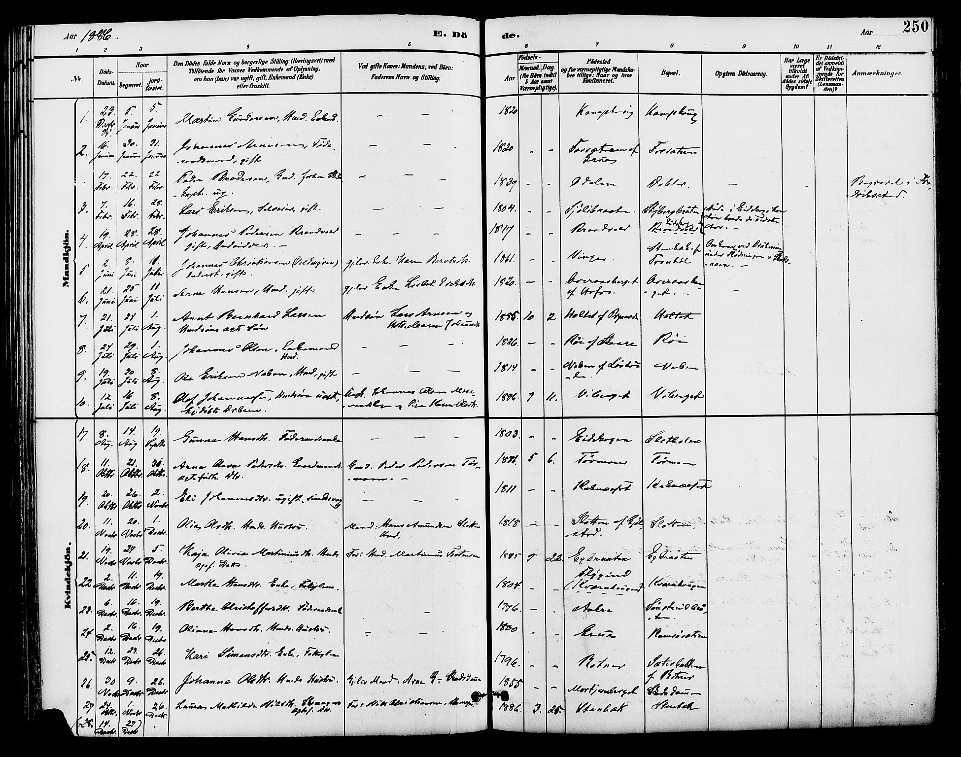 Brandval prestekontor, SAH/PREST-034/H/Ha/Haa/L0002: Parish register (official) no. 2, 1880-1894, p. 250