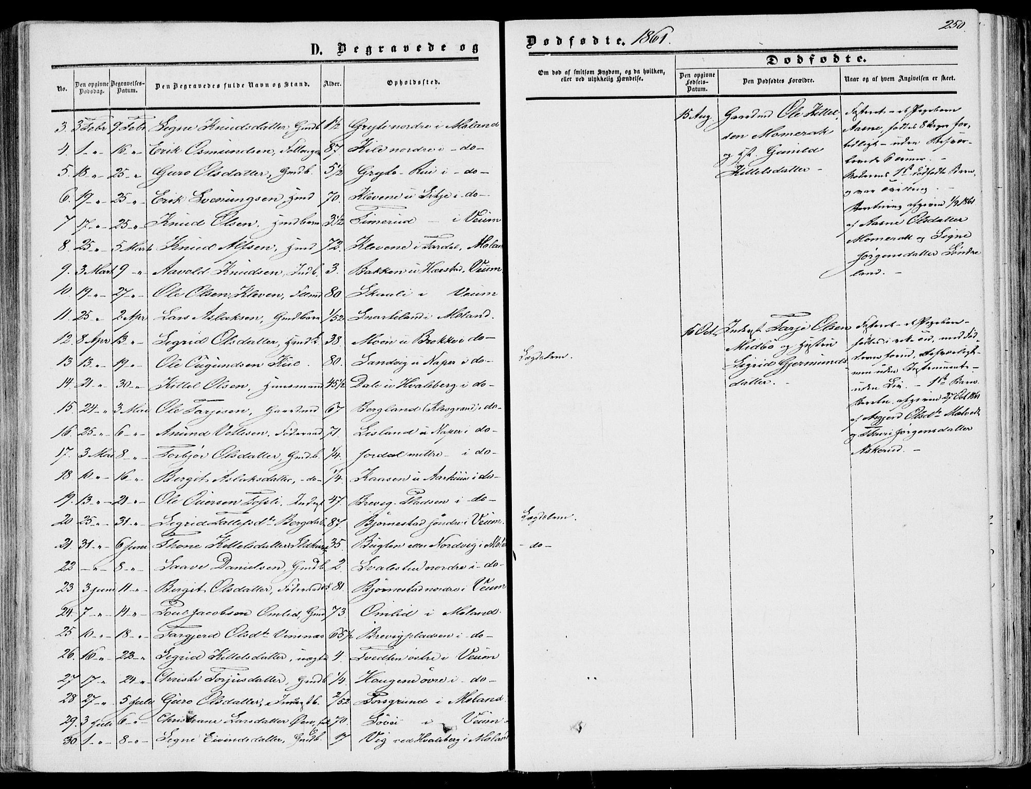 Fyresdal kirkebøker, SAKO/A-263/F/Fa/L0005: Parish register (official) no. I 5, 1855-1871, p. 250