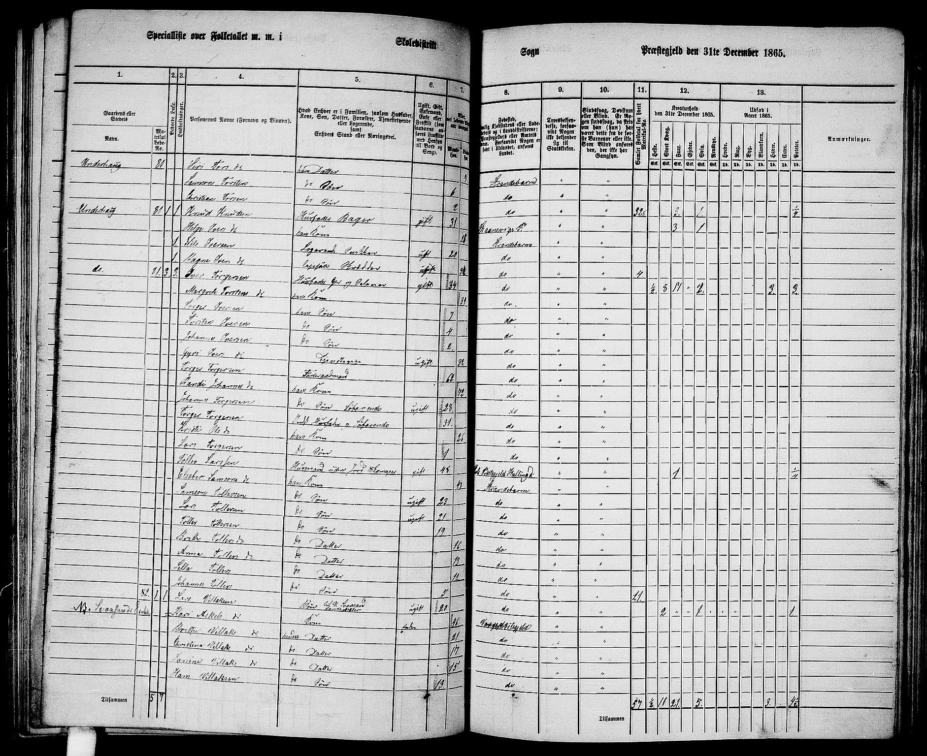 RA, 1865 census for Strandebarm, 1865, p. 128