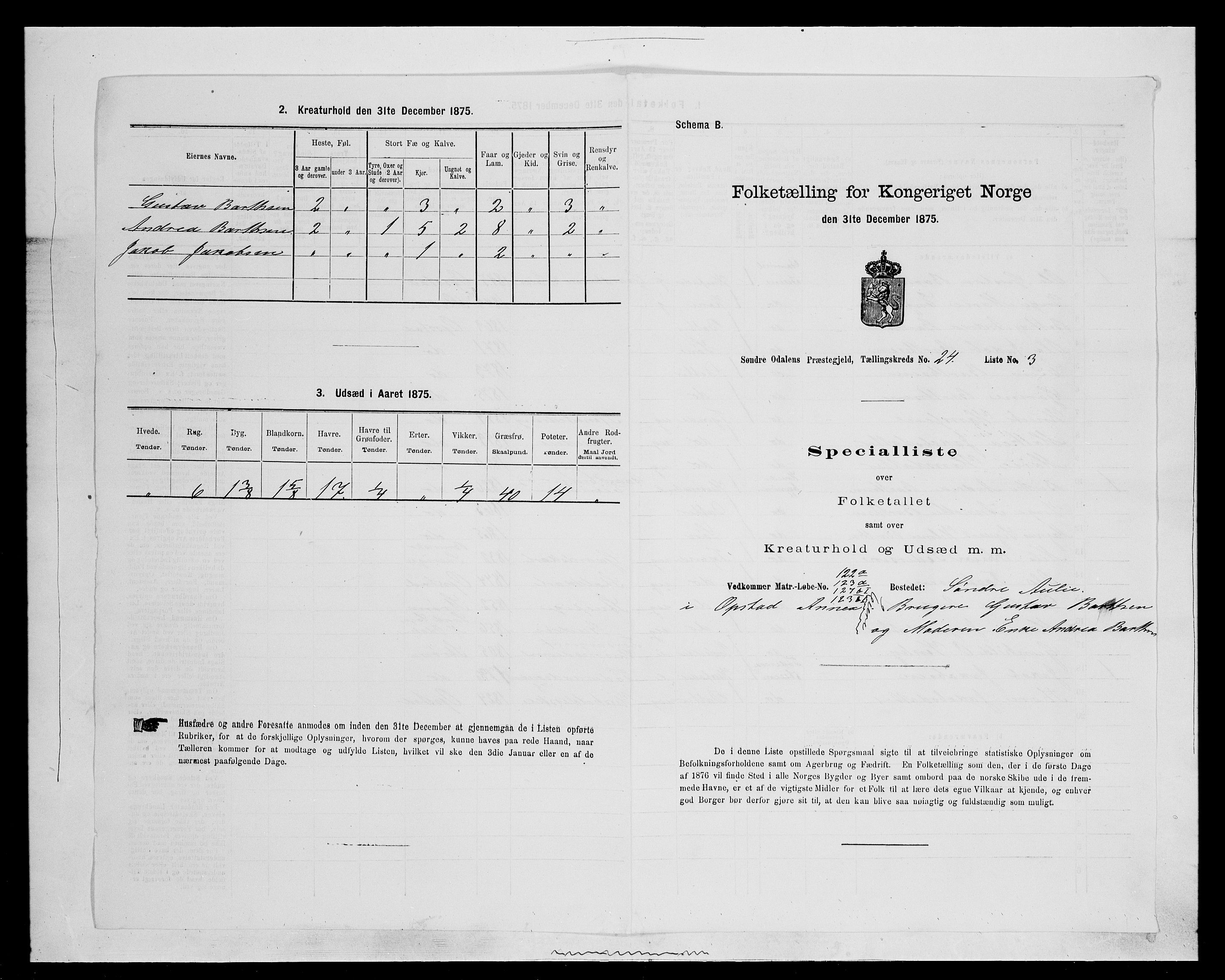 SAH, 1875 census for 0419P Sør-Odal, 1875, p. 2025