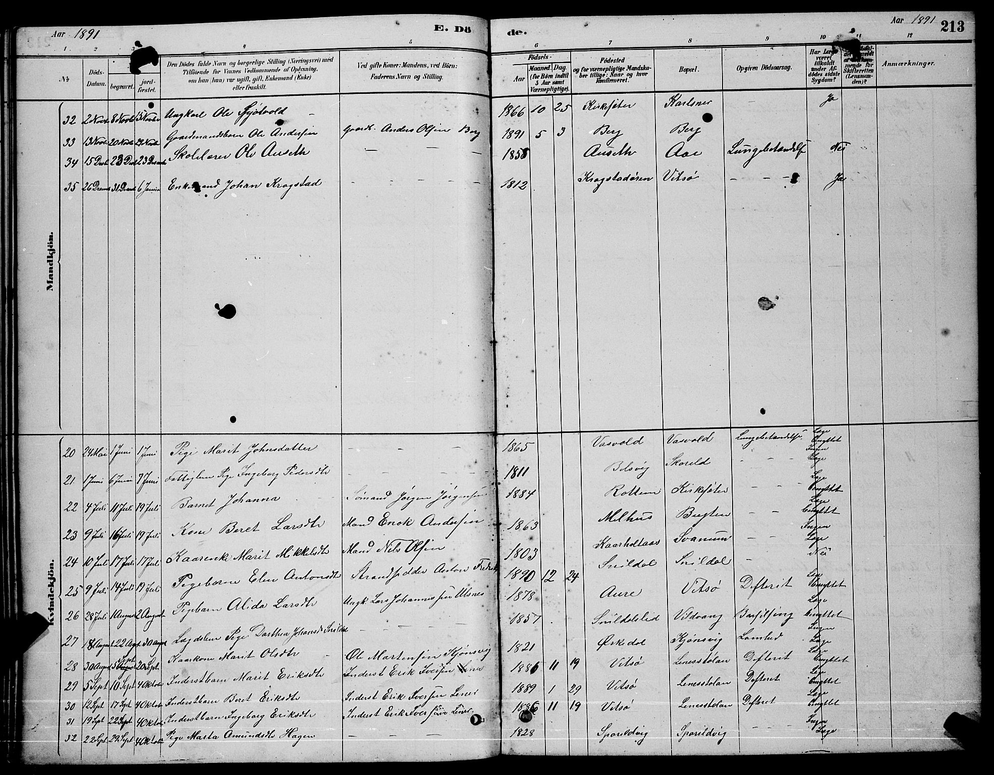 Ministerialprotokoller, klokkerbøker og fødselsregistre - Sør-Trøndelag, SAT/A-1456/630/L0504: Parish register (copy) no. 630C02, 1879-1898, p. 213