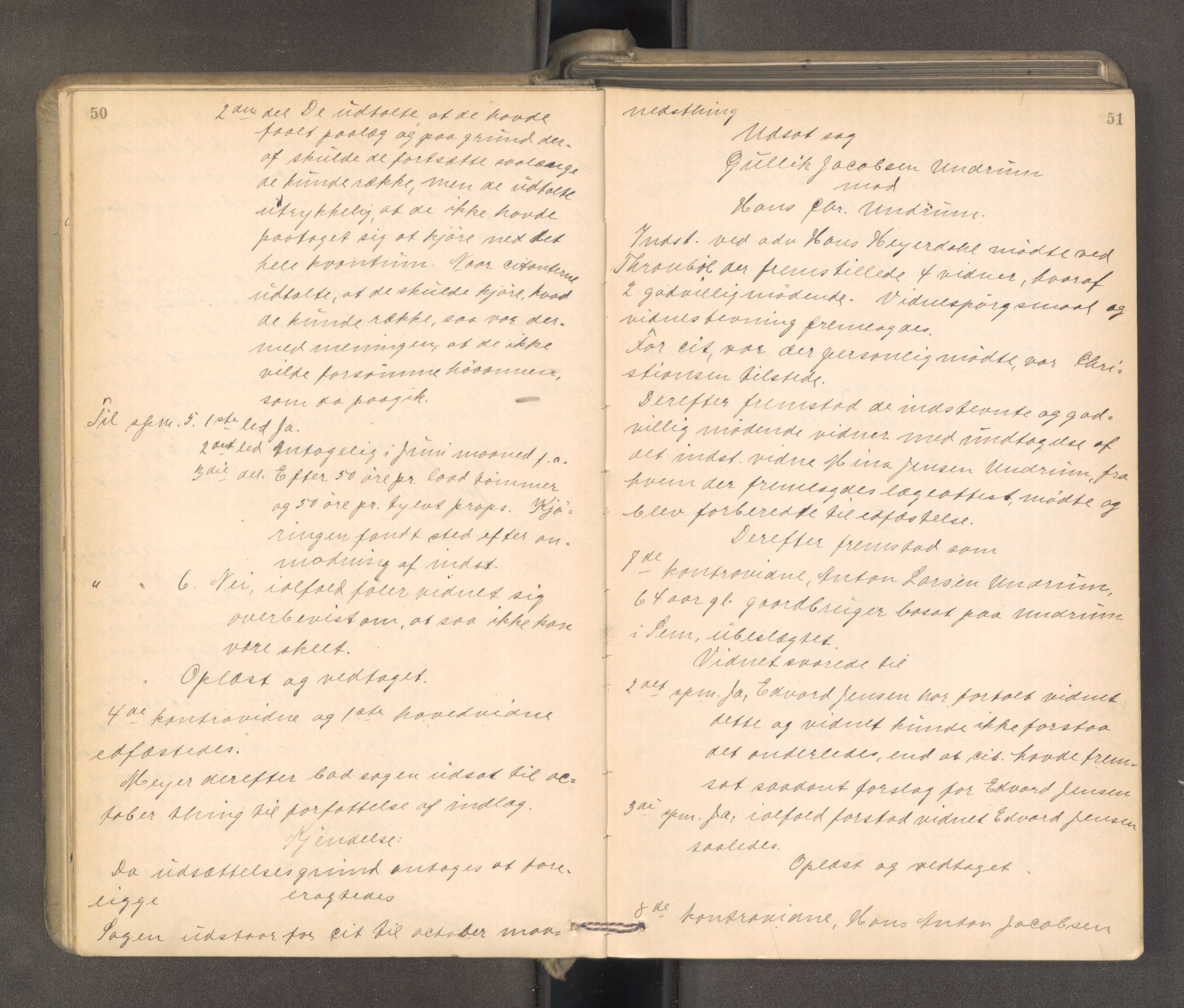 Søndre Jarlsberg sorenskriveri, AV/SAKO-A-129/F/Fa/L0043: Tingbok, 1901-1903, p. 50-51