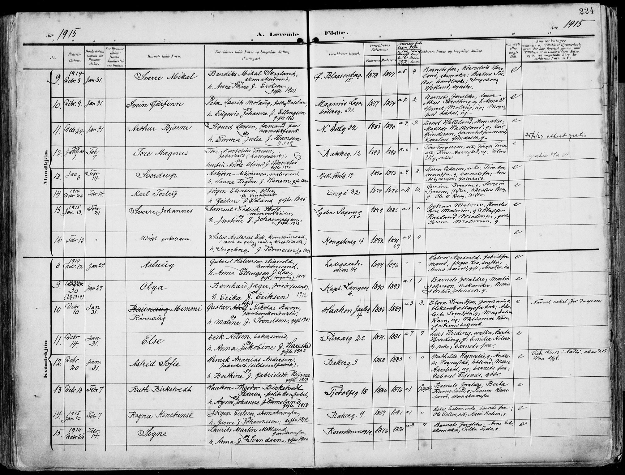 St. Petri sokneprestkontor, AV/SAST-A-101813/002/A/L0005: Parish register (official) no. A 23, 1902-1918, p. 224