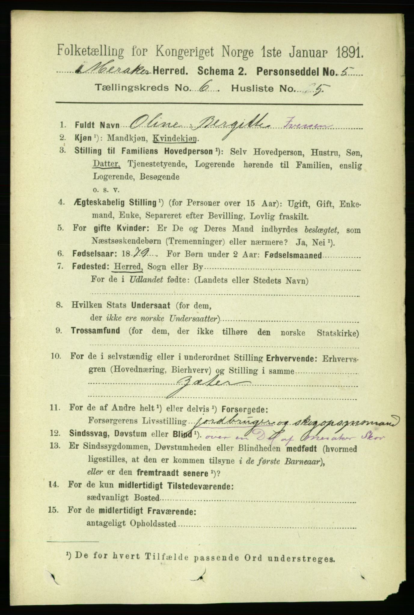 RA, 1891 census for 1711 Meråker, 1891, p. 2072