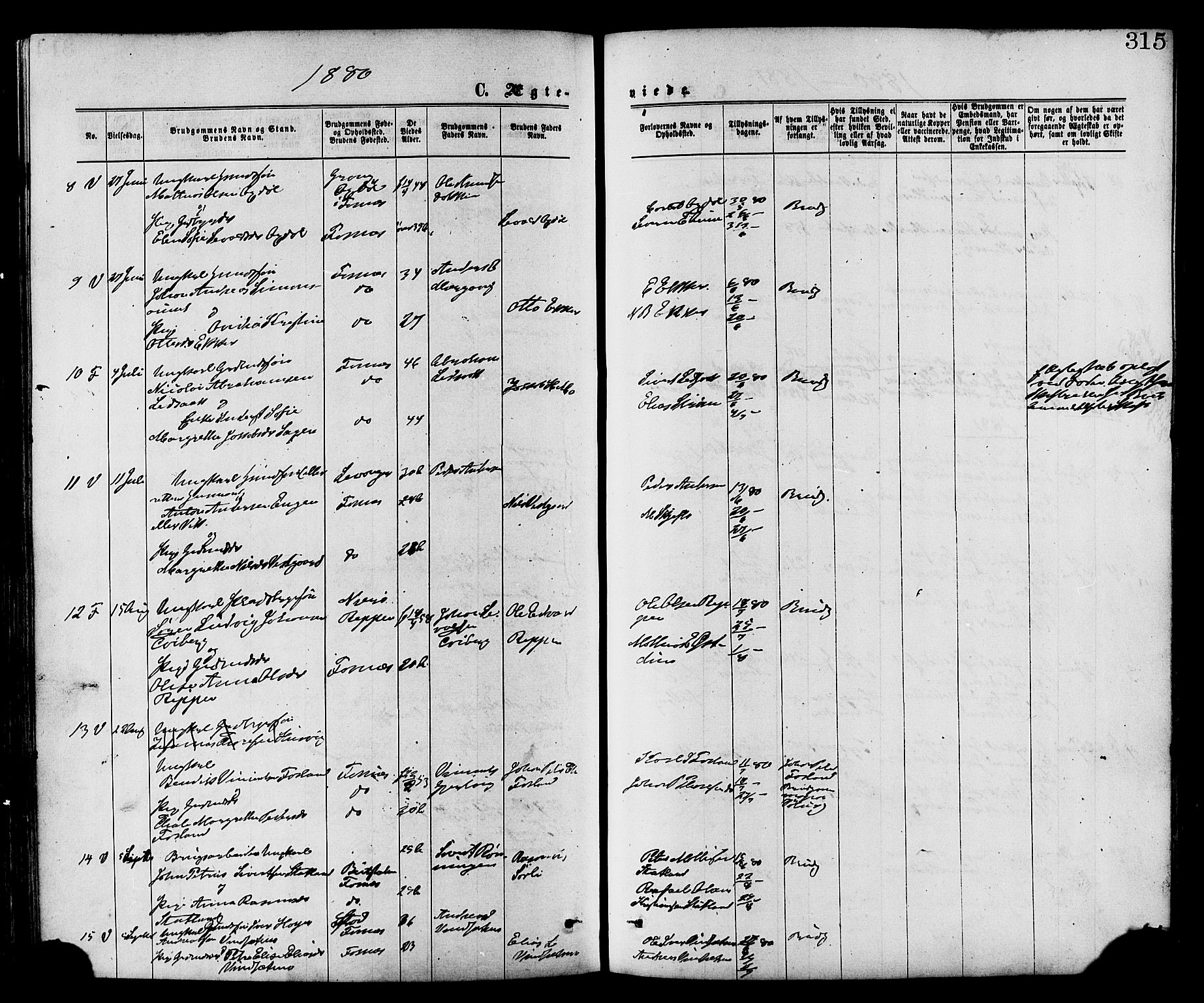 Ministerialprotokoller, klokkerbøker og fødselsregistre - Nord-Trøndelag, SAT/A-1458/773/L0616: Parish register (official) no. 773A07, 1870-1887, p. 315