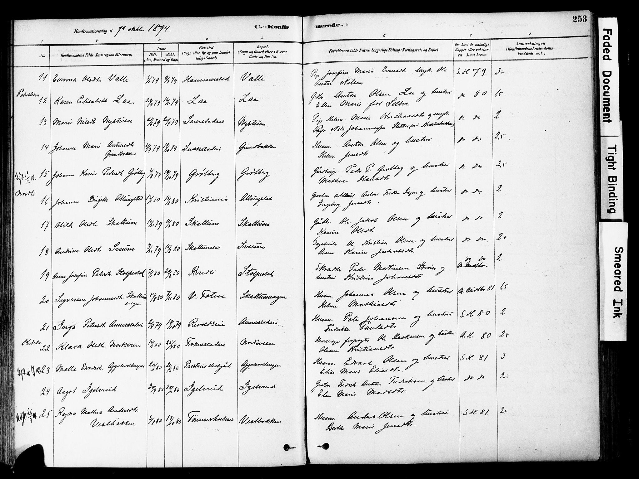 Østre Toten prestekontor, AV/SAH-PREST-104/H/Ha/Haa/L0006: Parish register (official) no. 6 /1, 1878-1896, p. 253