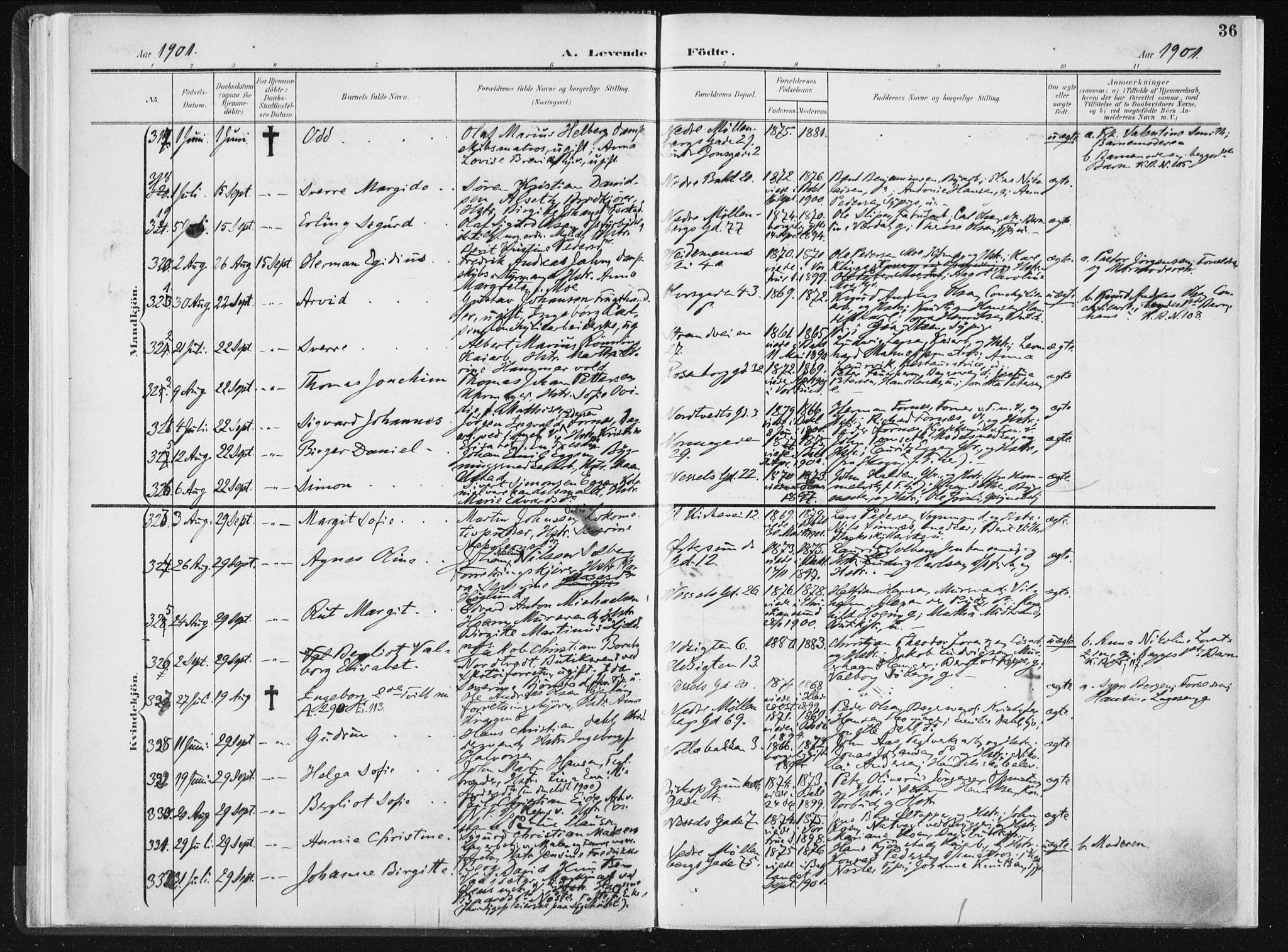Ministerialprotokoller, klokkerbøker og fødselsregistre - Sør-Trøndelag, AV/SAT-A-1456/604/L0199: Parish register (official) no. 604A20I, 1901-1906, p. 36