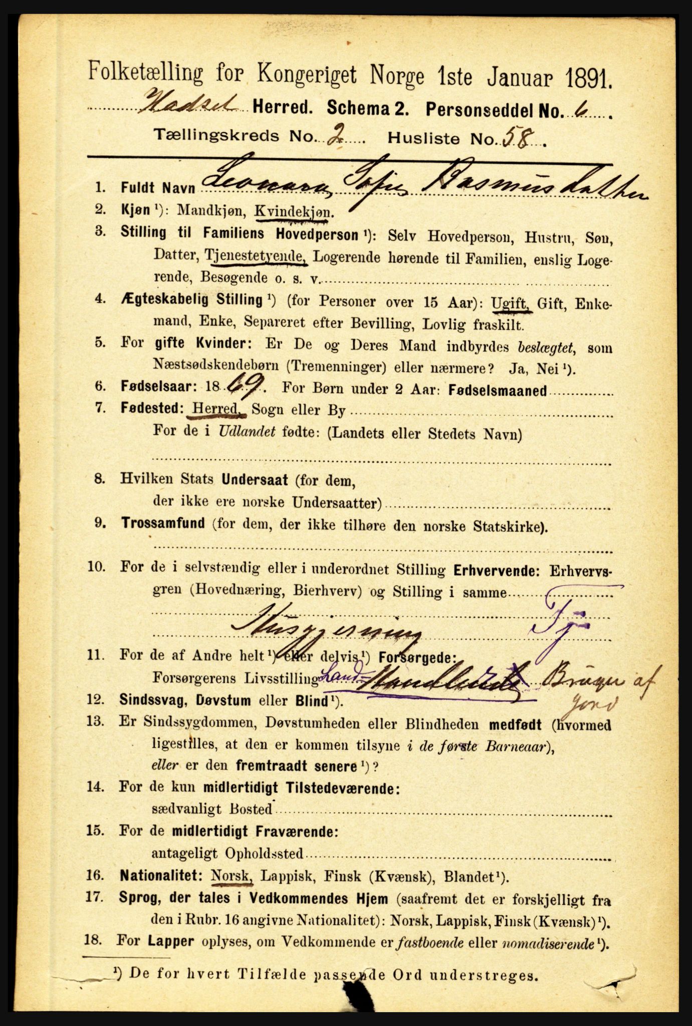 RA, 1891 census for 1866 Hadsel, 1891, p. 995