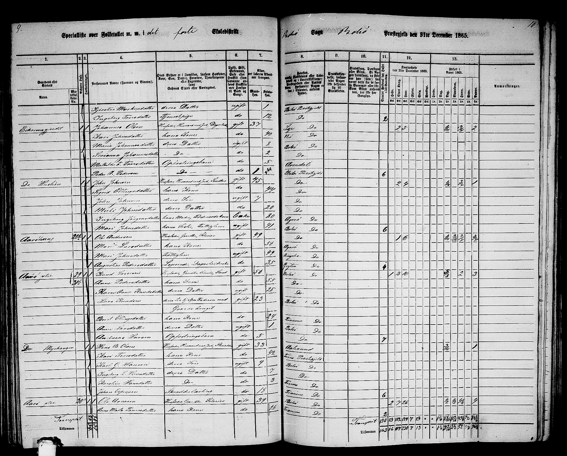 RA, 1865 census for Bolsøy, 1865, p. 37