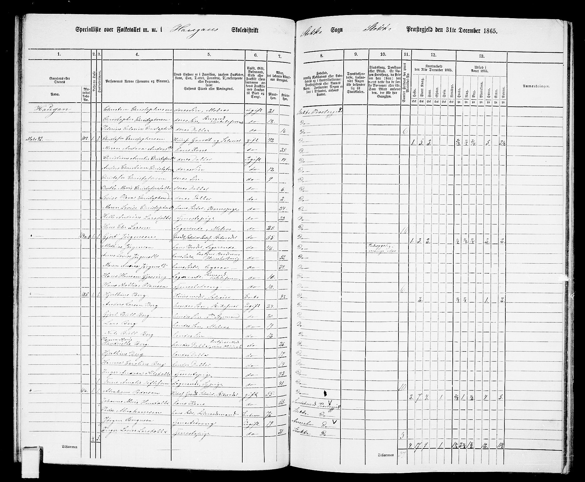 RA, 1865 census for Stokke, 1865, p. 85