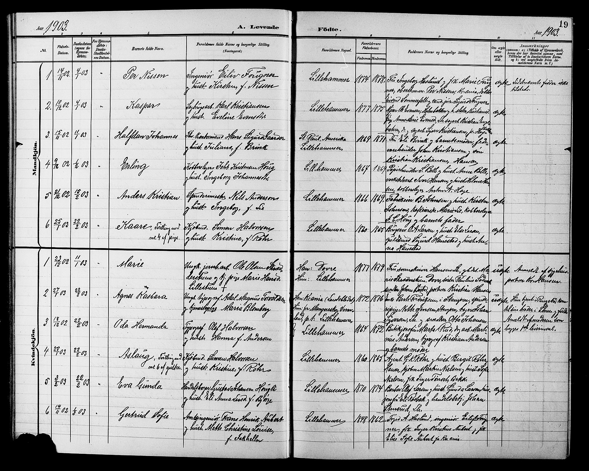 Lillehammer prestekontor, SAH/PREST-088/H/Ha/Hab/L0001: Parish register (copy) no. 1, 1901-1913, p. 19