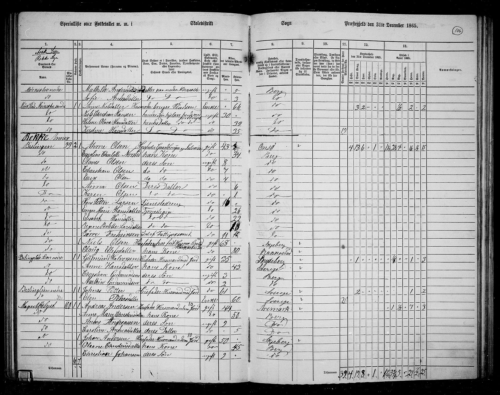 RA, 1865 census for Berg, 1865, p. 95