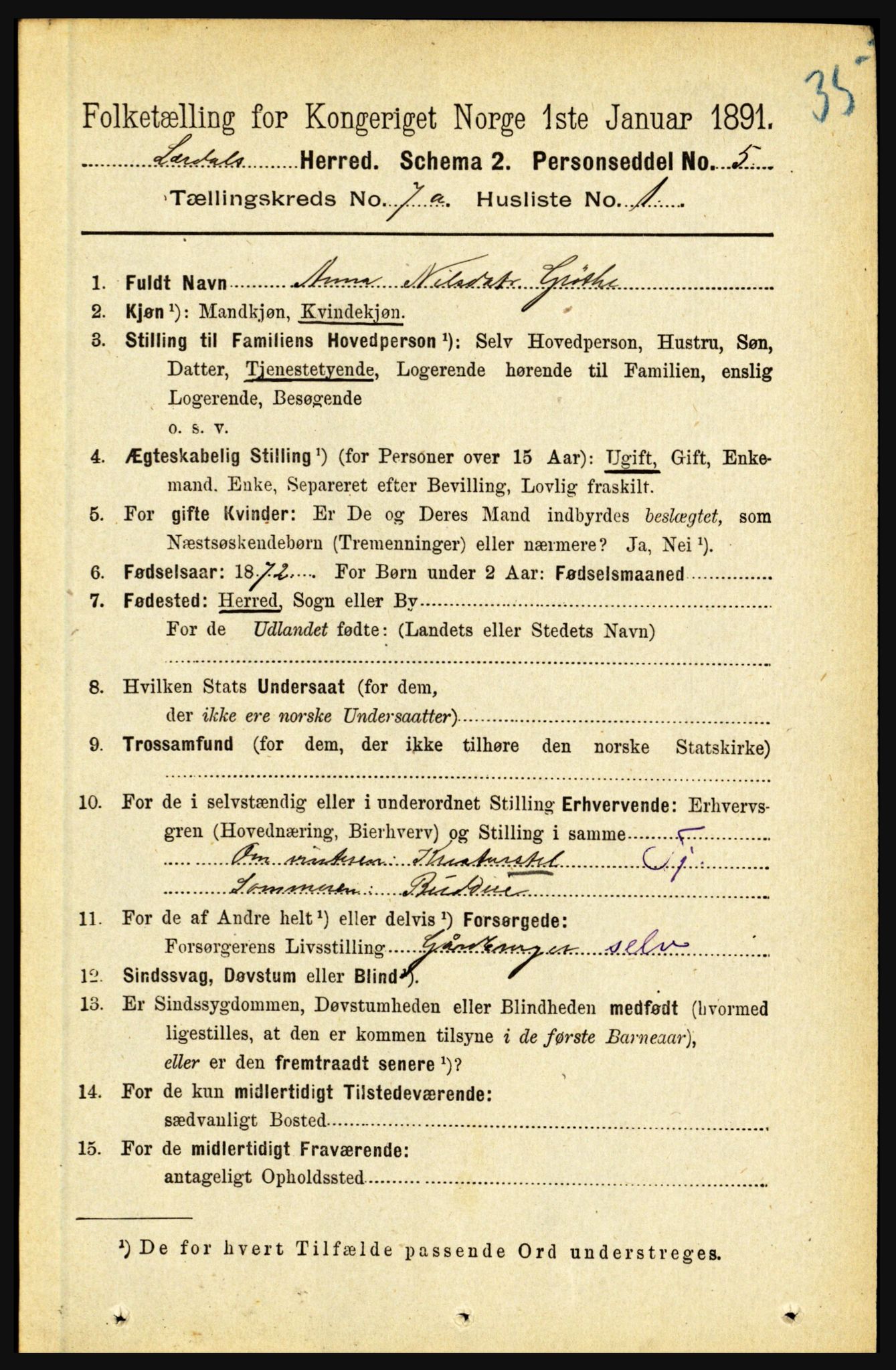 RA, 1891 census for 1422 Lærdal, 1891, p. 808