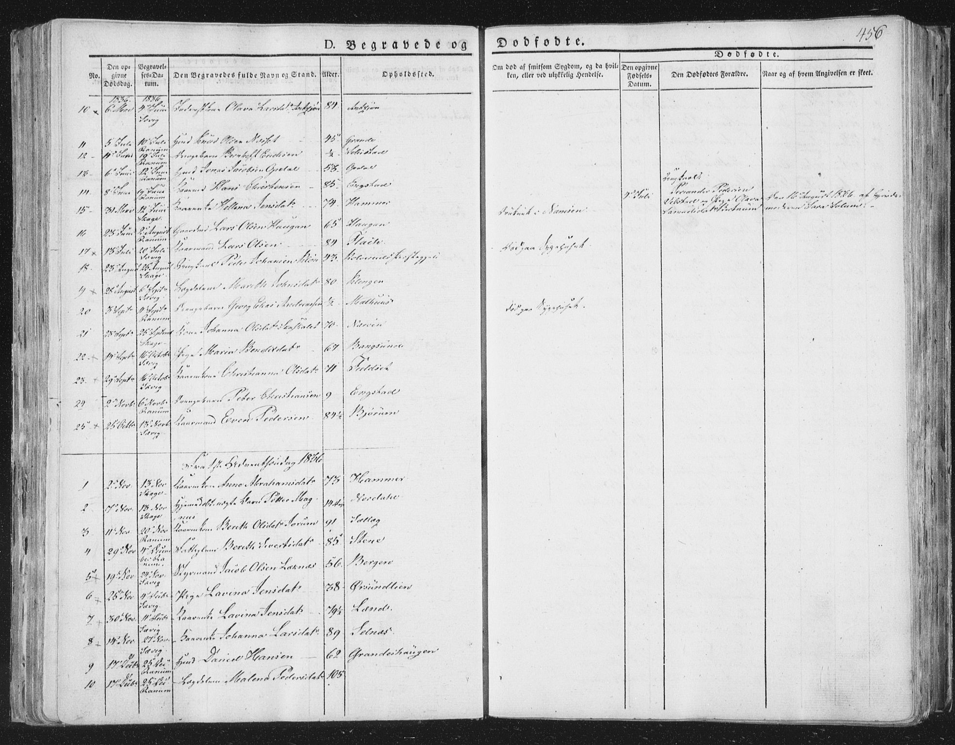 Ministerialprotokoller, klokkerbøker og fødselsregistre - Nord-Trøndelag, AV/SAT-A-1458/764/L0552: Parish register (official) no. 764A07b, 1824-1865, p. 456