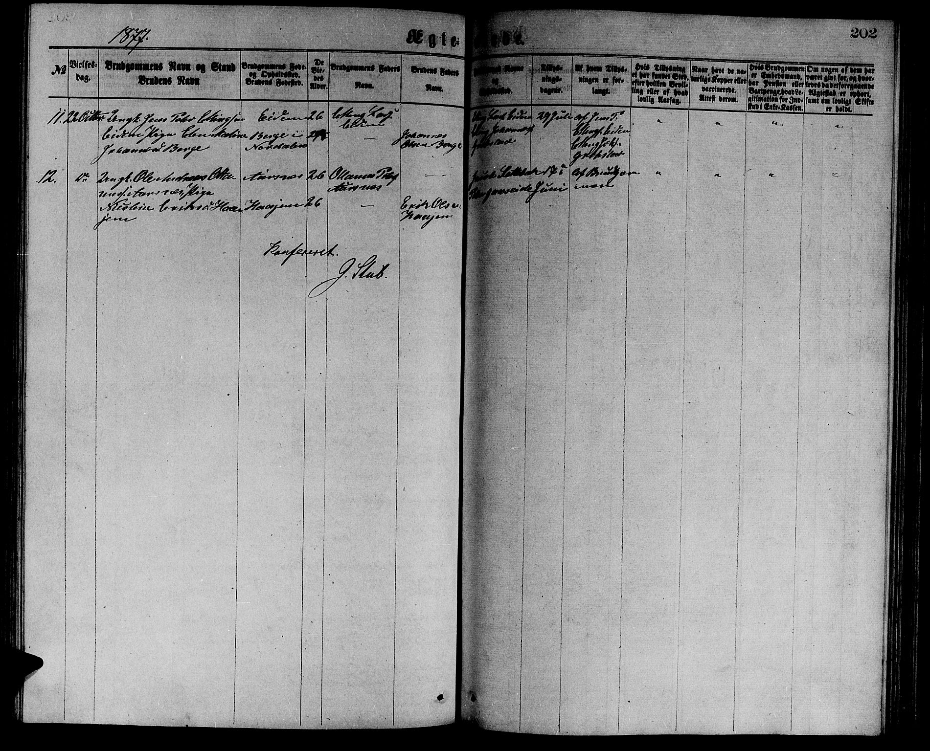 Ministerialprotokoller, klokkerbøker og fødselsregistre - Møre og Romsdal, AV/SAT-A-1454/523/L0338: Parish register (copy) no. 523C01, 1865-1877, p. 202