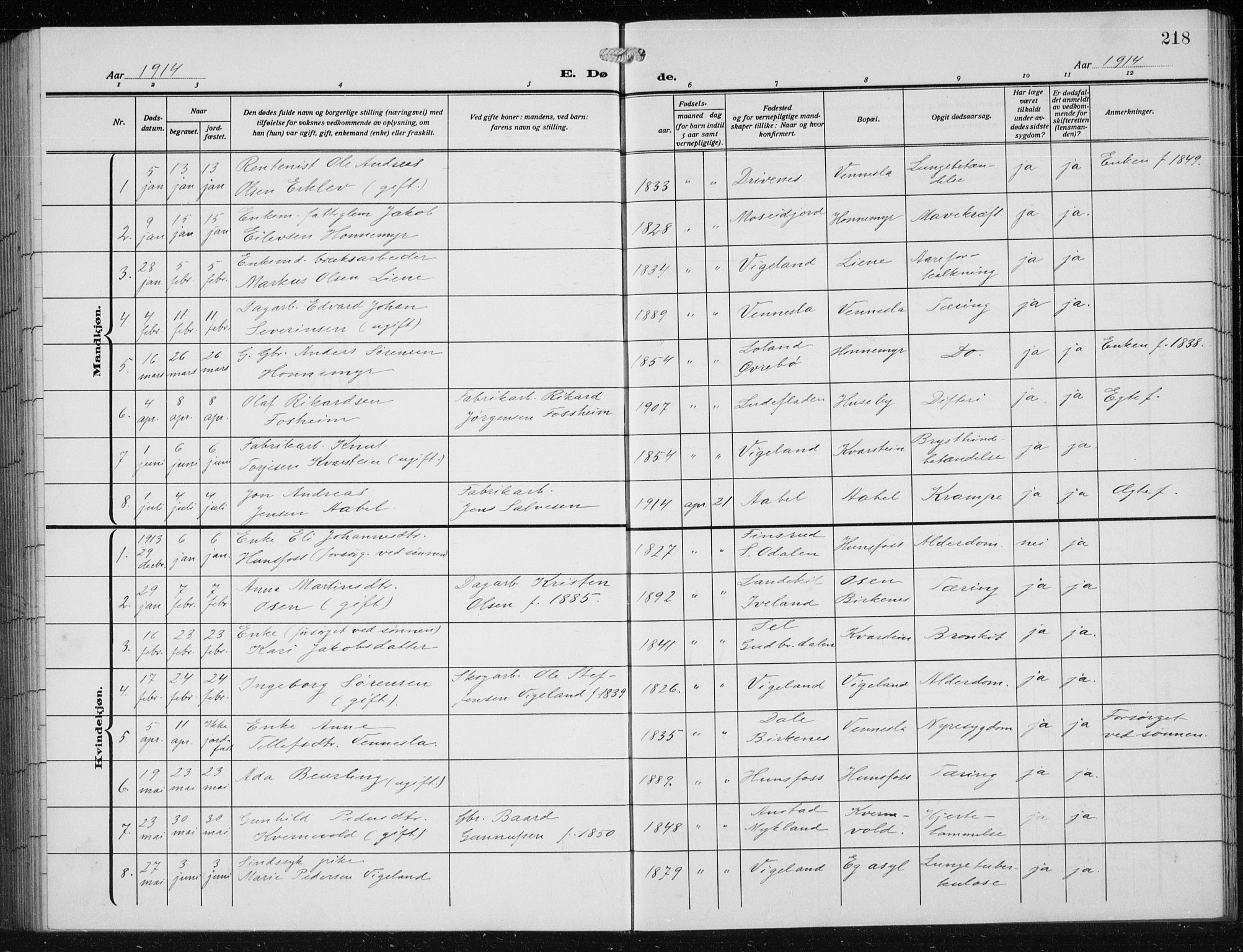 Vennesla sokneprestkontor, AV/SAK-1111-0045/Fb/Fbb/L0006: Parish register (copy) no. B 6, 1914-1921, p. 218