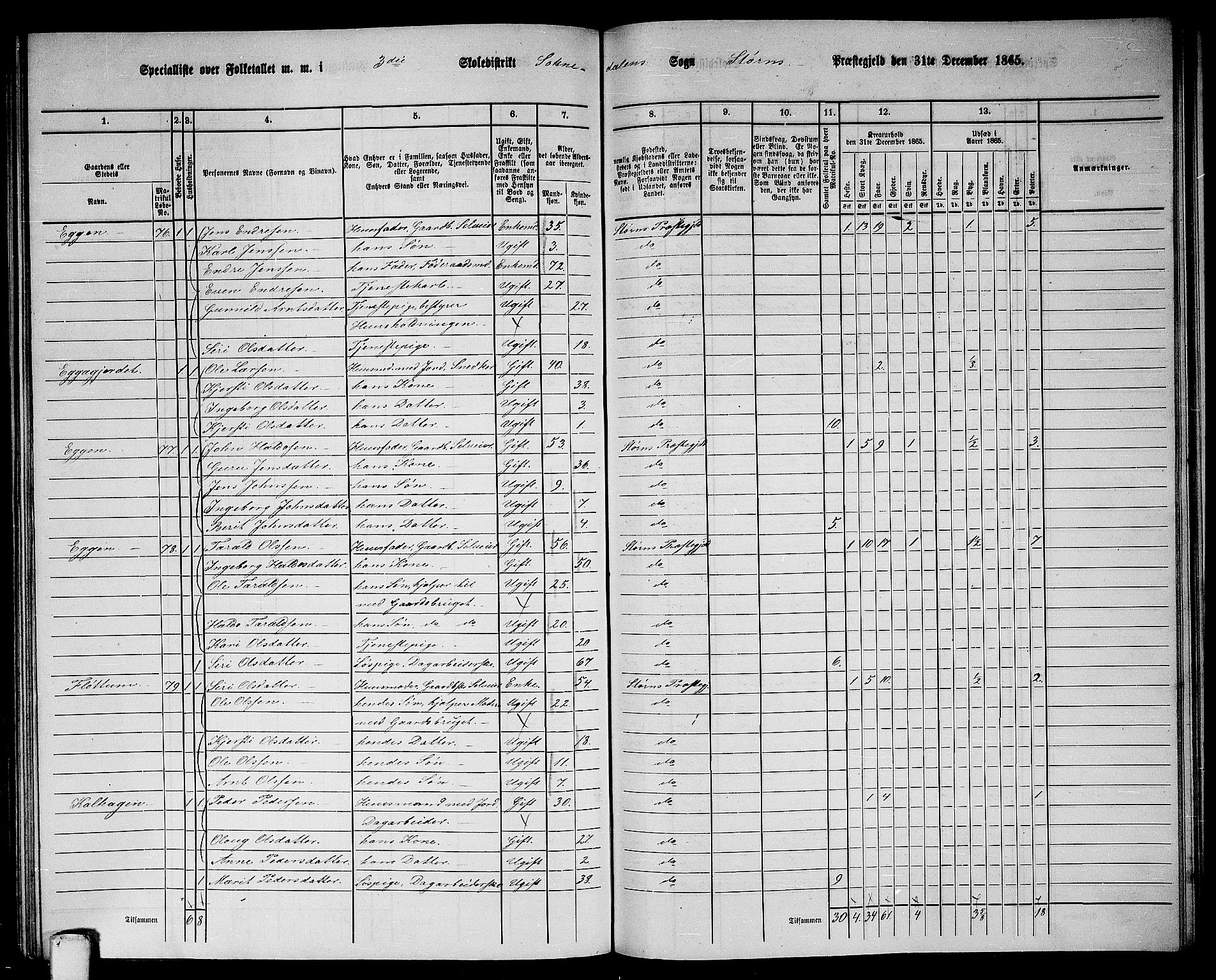 RA, 1865 census for Støren, 1865, p. 258