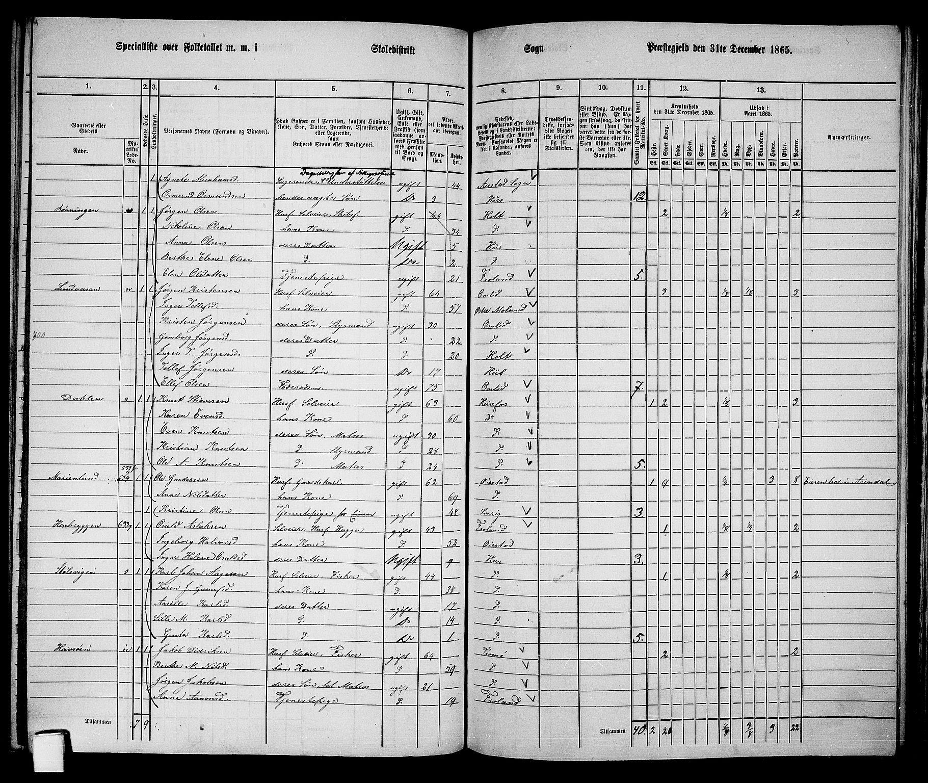 RA, 1865 census for Øyestad, 1865, p. 196