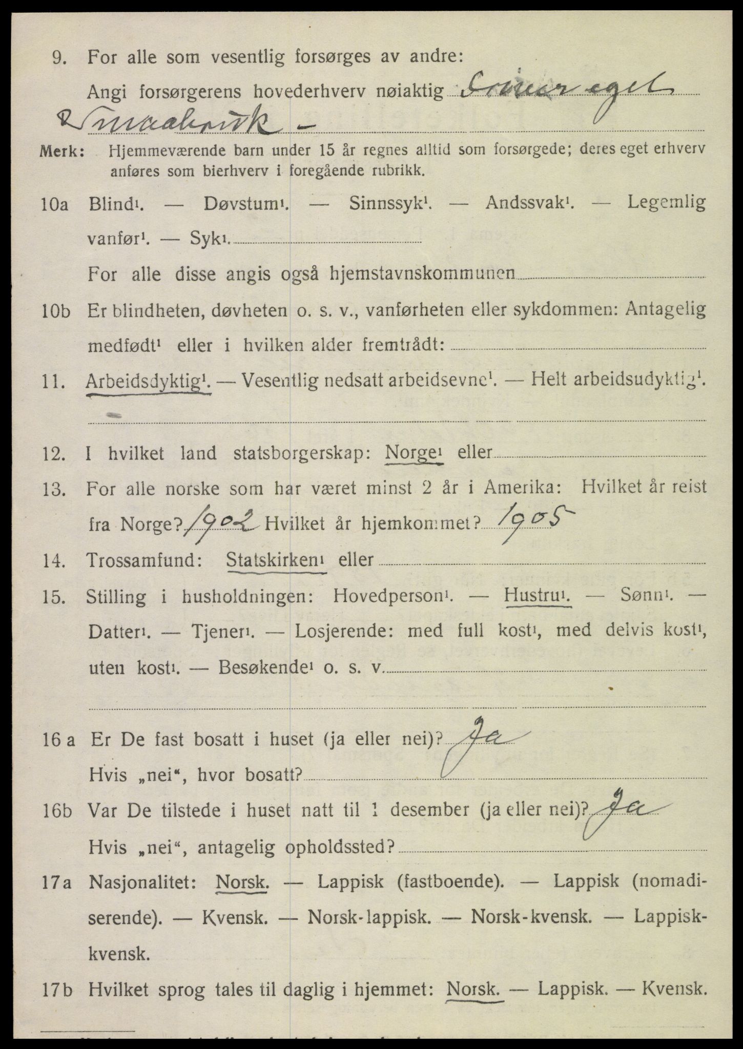 SAT, 1920 census for Vik, 1920, p. 2938