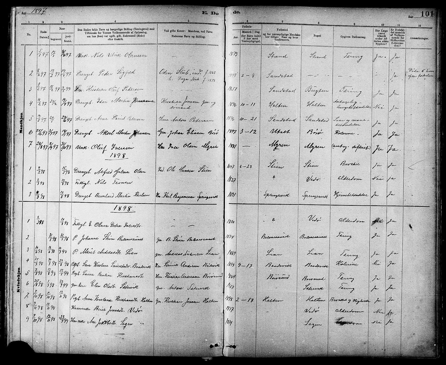 Ministerialprotokoller, klokkerbøker og fødselsregistre - Sør-Trøndelag, SAT/A-1456/639/L0573: Parish register (copy) no. 639C01, 1890-1905, p. 101