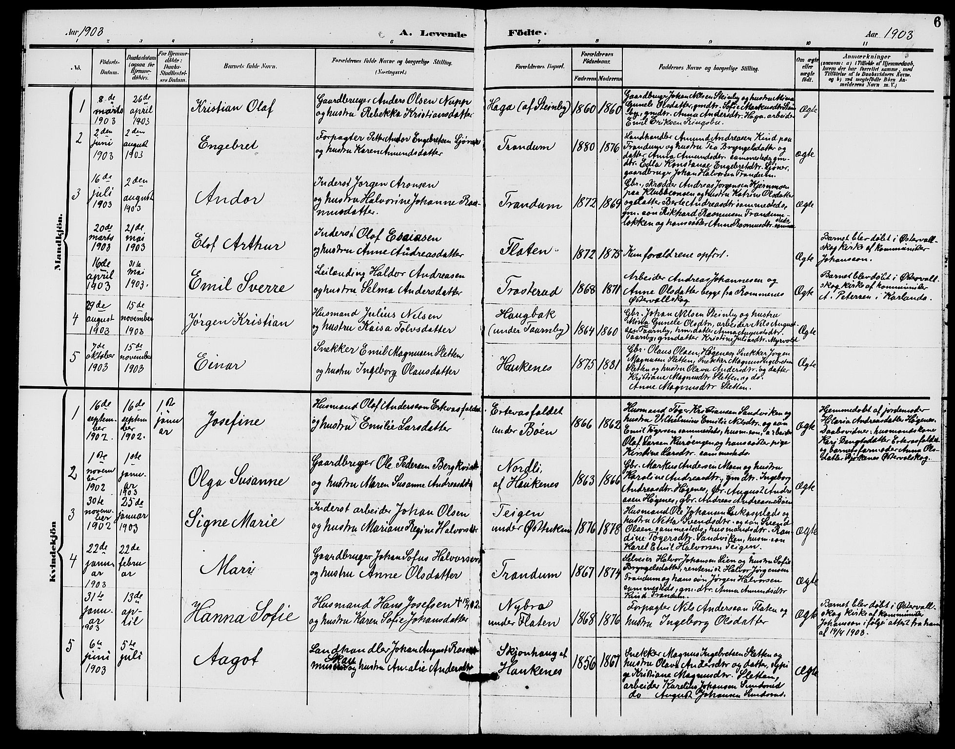 Rødenes prestekontor Kirkebøker, AV/SAO-A-2005/G/Gb/L0001: Parish register (copy) no. II 1, 1901-1910, p. 6