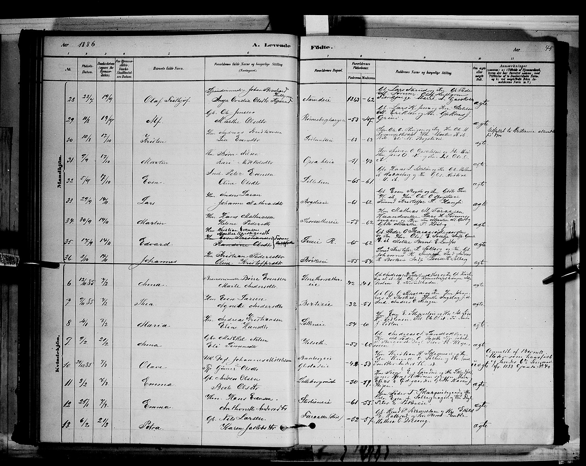 Ringsaker prestekontor, AV/SAH-PREST-014/L/La/L0011: Parish register (copy) no. 11, 1879-1890, p. 45