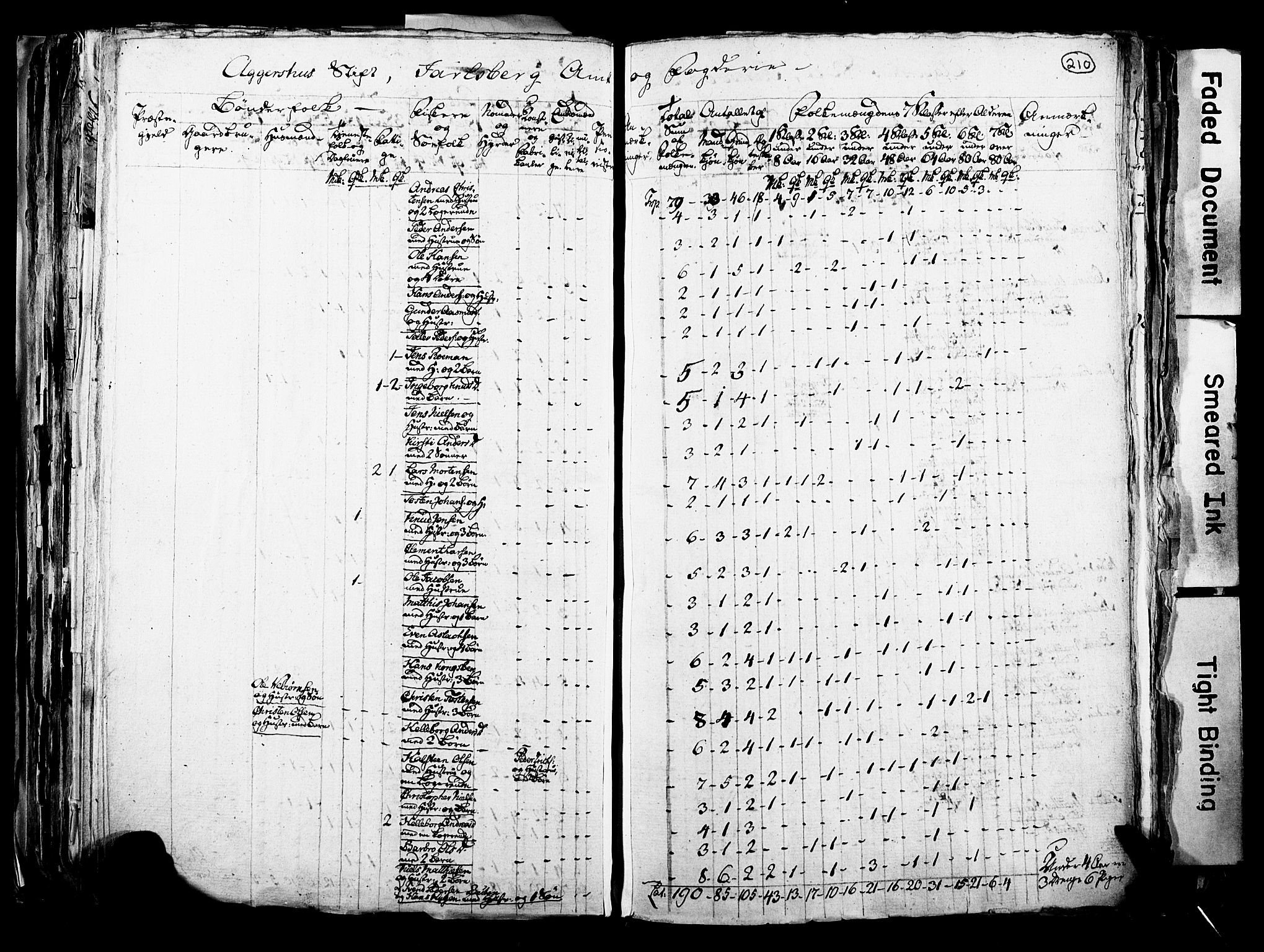 RA, Census 1815 for Skoger parish, 1815, p. 210