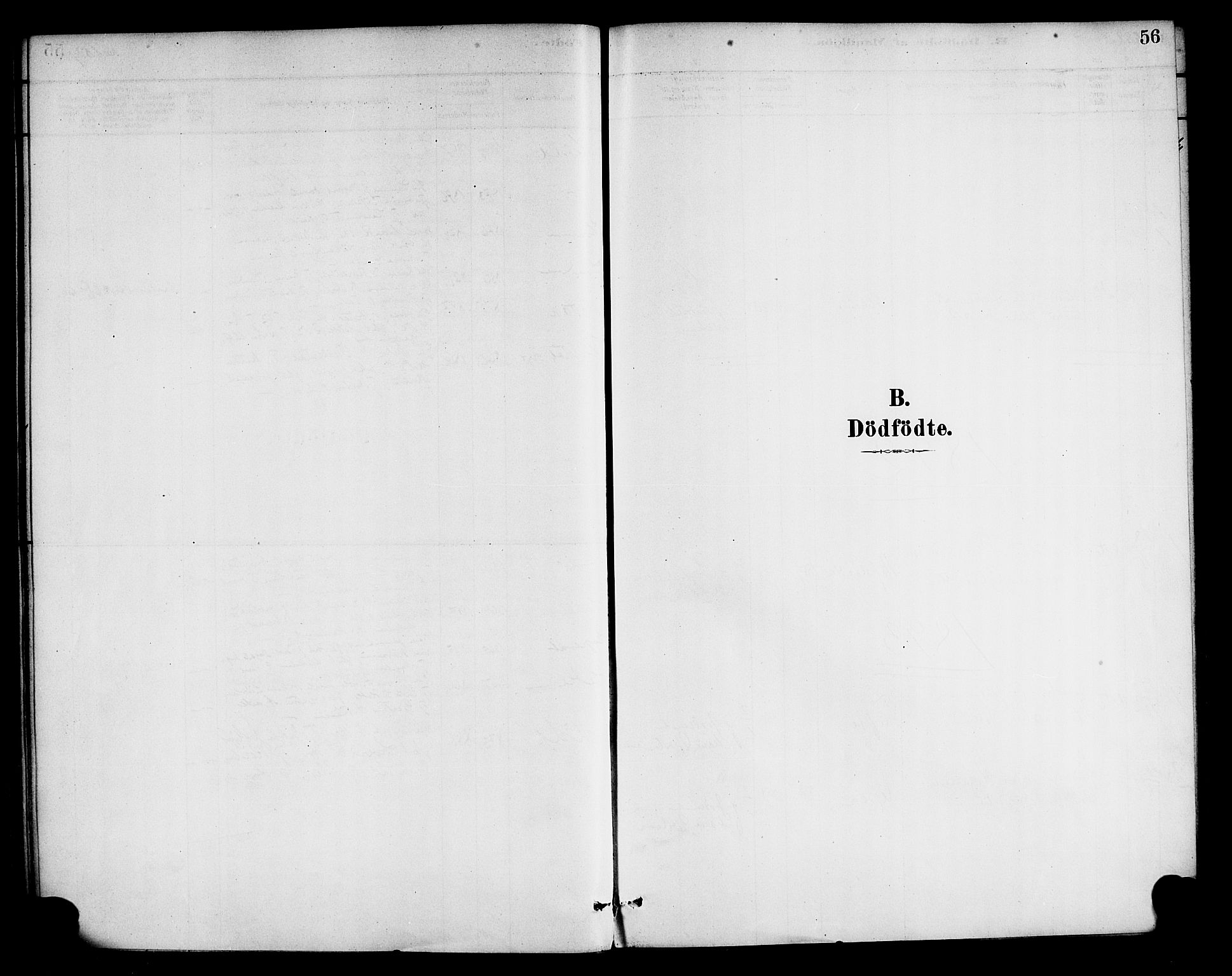 Gaular sokneprestembete, SAB/A-80001/H/Haa: Parish register (official) no. D 1, 1882-1899, p. 56