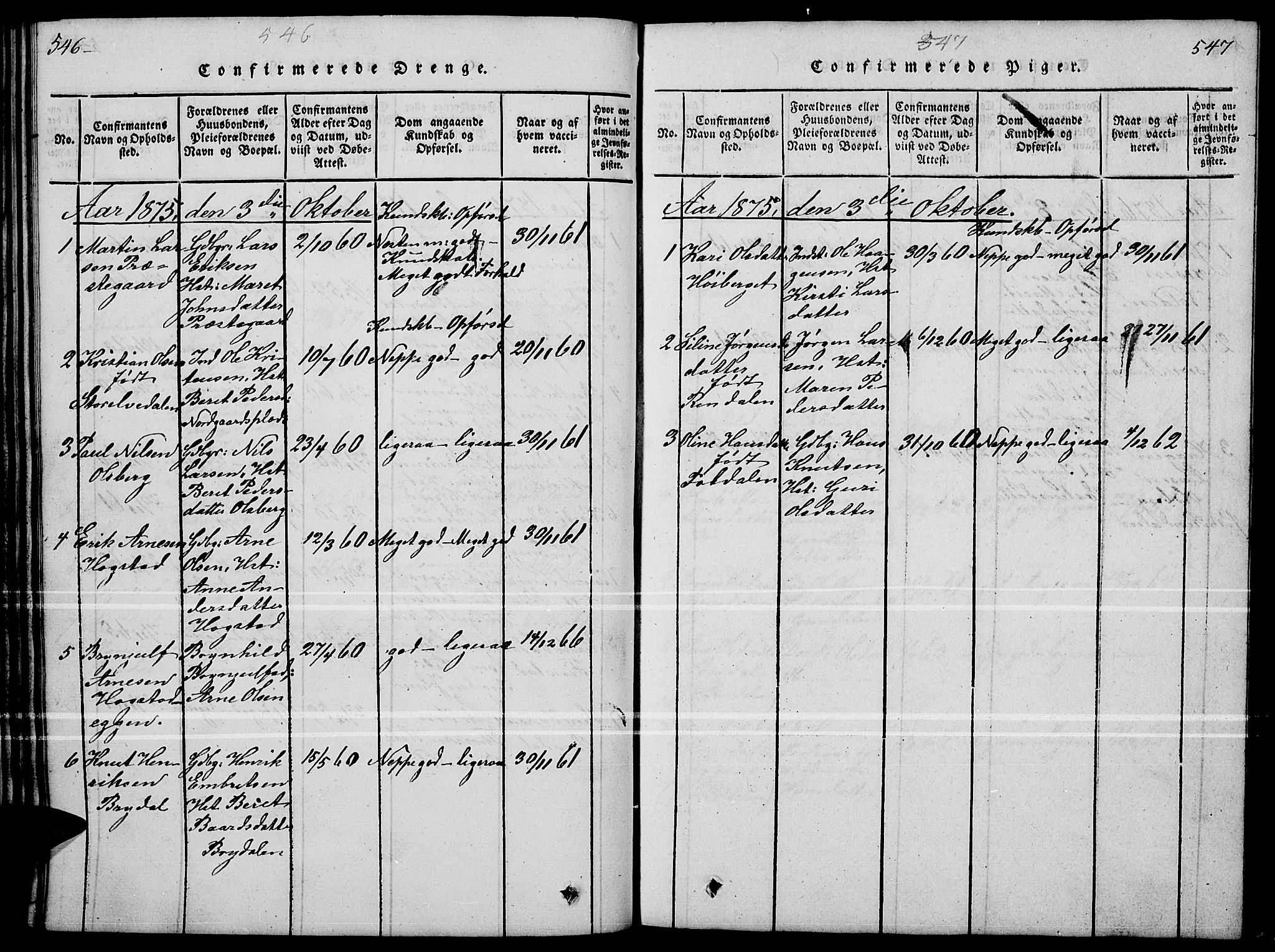 Tynset prestekontor, SAH/PREST-058/H/Ha/Hab/L0004: Parish register (copy) no. 4, 1814-1879, p. 546-547