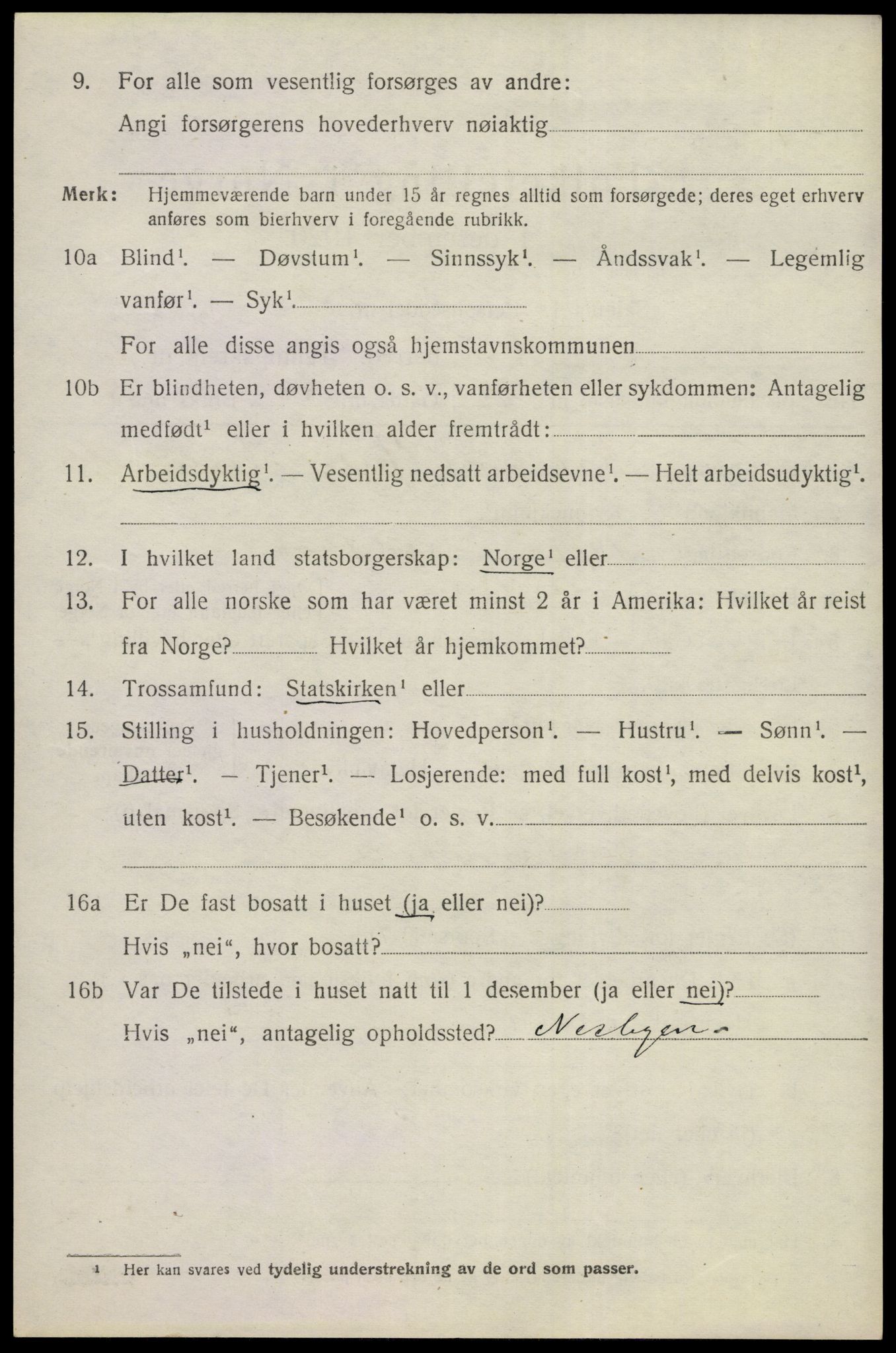 SAKO, 1920 census for Nes (Buskerud), 1920, p. 1625