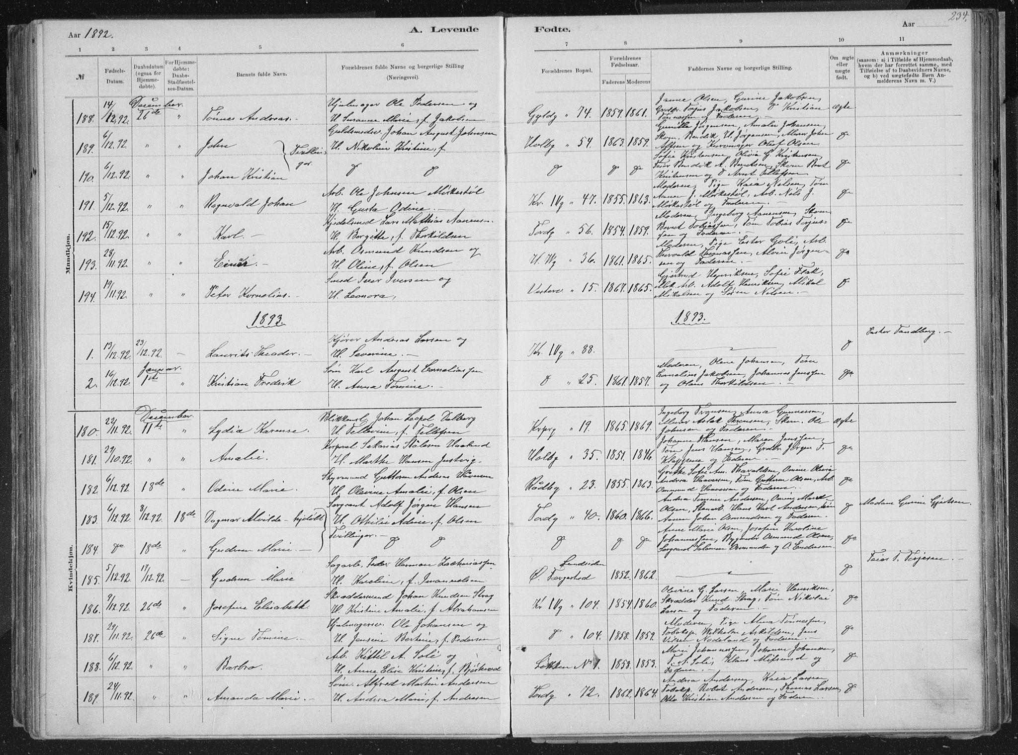 Kristiansand domprosti, SAK/1112-0006/F/Fb/L0014: Parish register (copy) no. B 14, 1881-1896, p. 234
