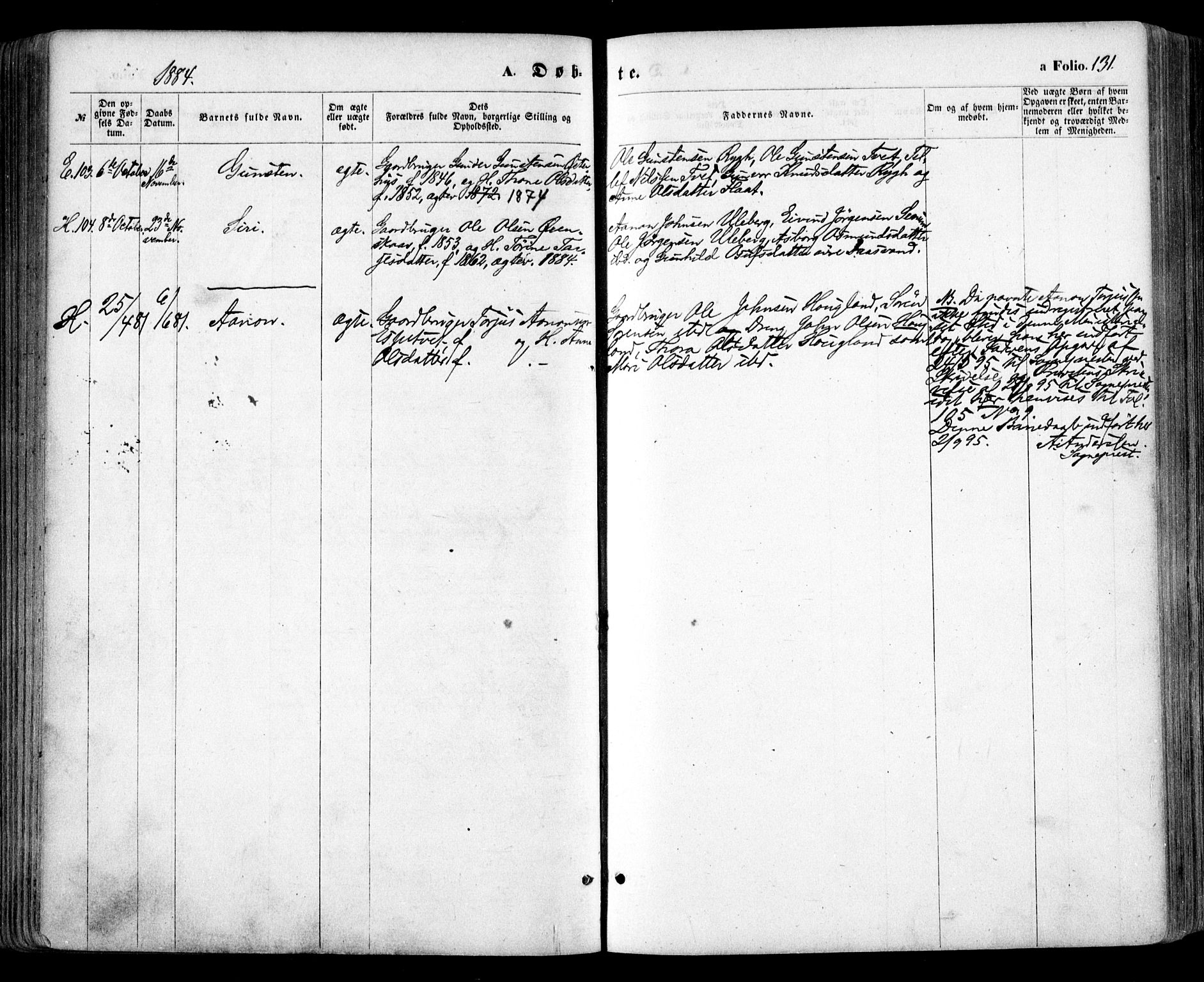 Evje sokneprestkontor, SAK/1111-0008/F/Fa/Faa/L0006: Parish register (official) no. A 6, 1866-1884, p. 131