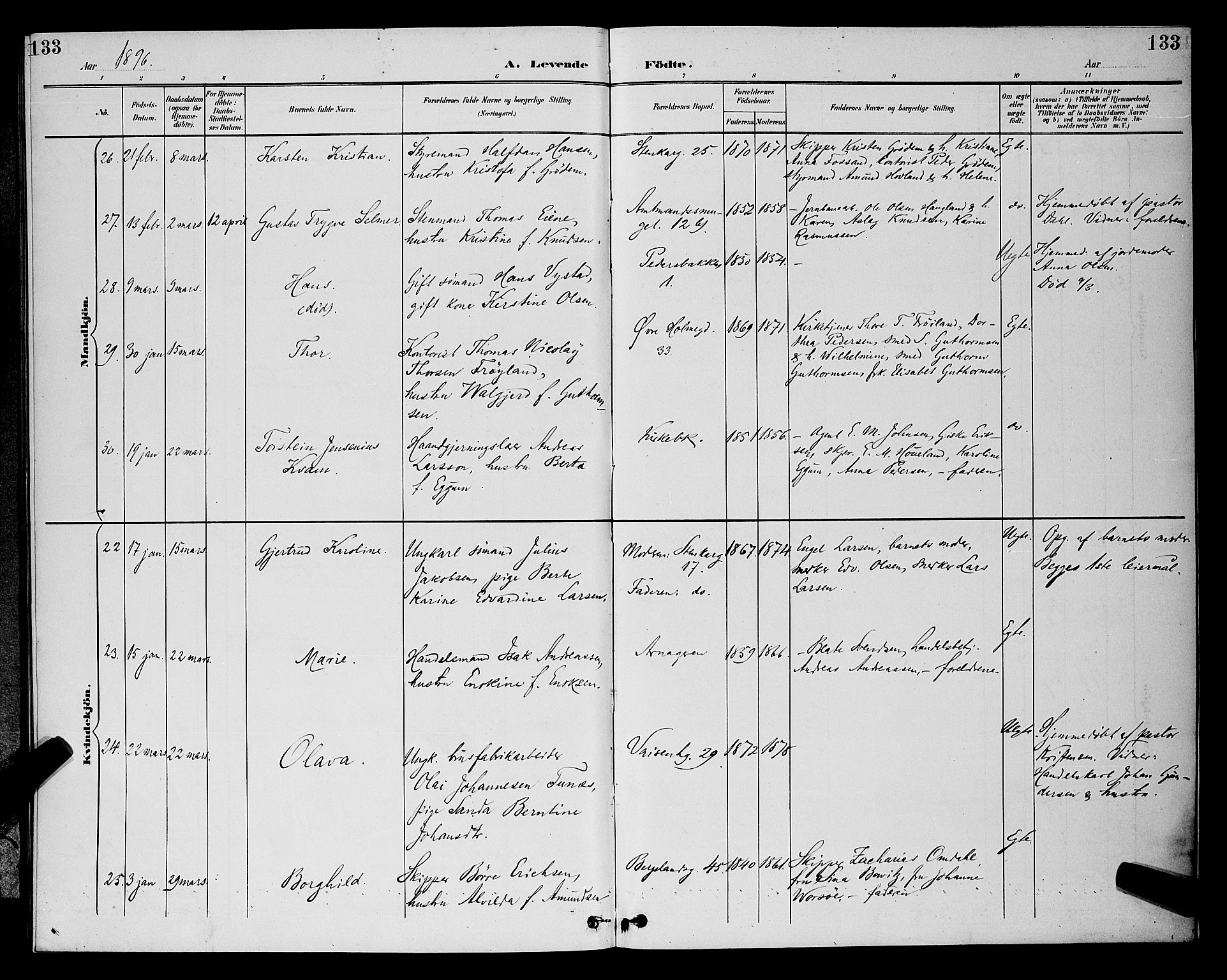 St. Petri sokneprestkontor, SAST/A-101813/001/30/30BB/L0006: Parish register (copy) no. B 6, 1890-1897, p. 133