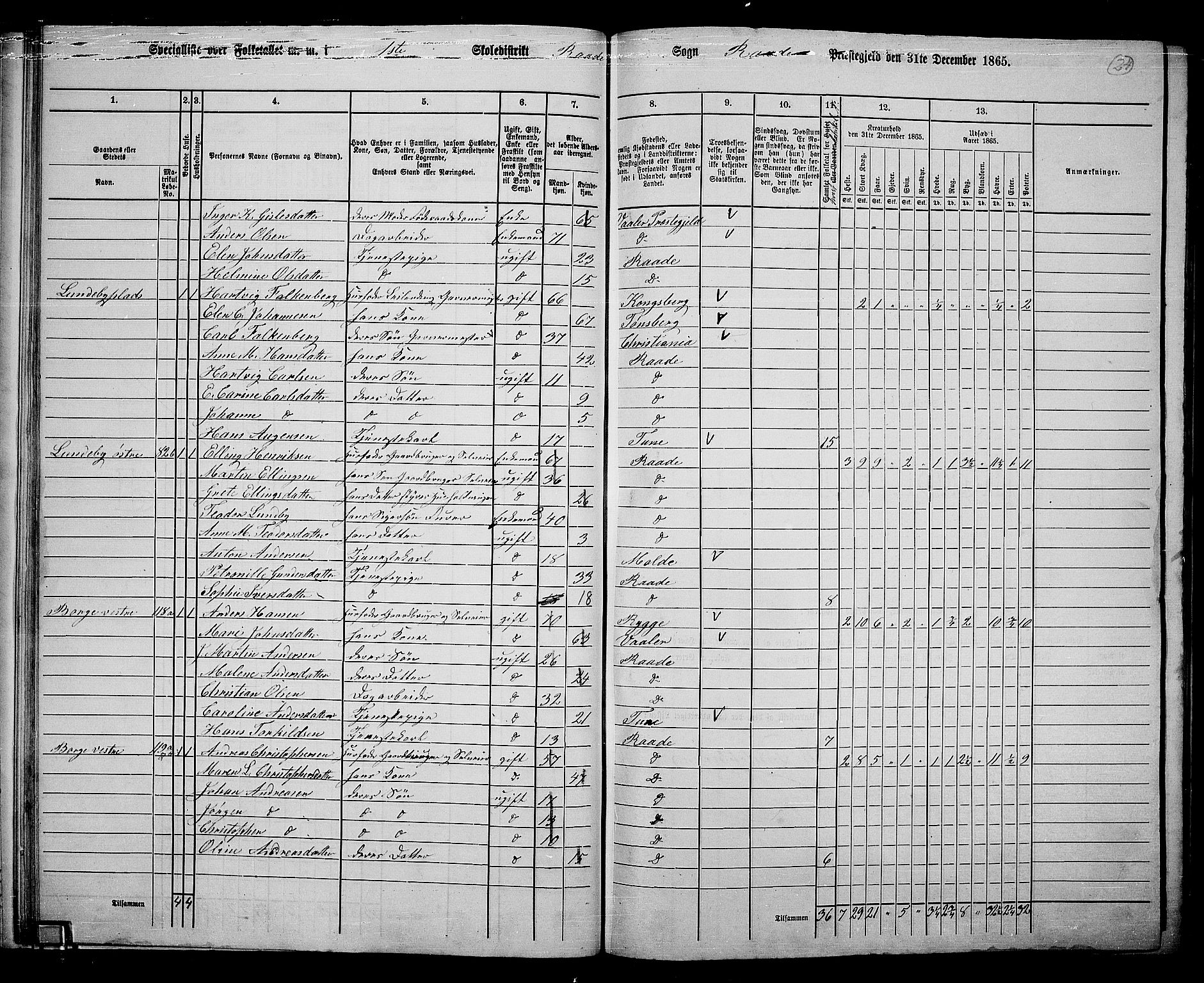 RA, 1865 census for Råde, 1865, p. 22