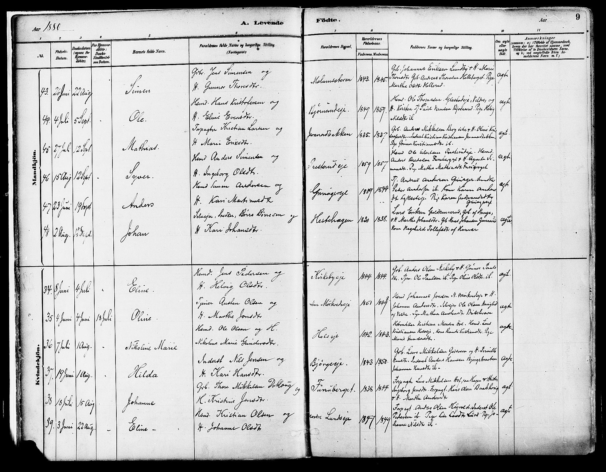 Vang prestekontor, Hedmark, AV/SAH-PREST-008/H/Ha/Haa/L0018A: Parish register (official) no. 18A, 1880-1906, p. 9