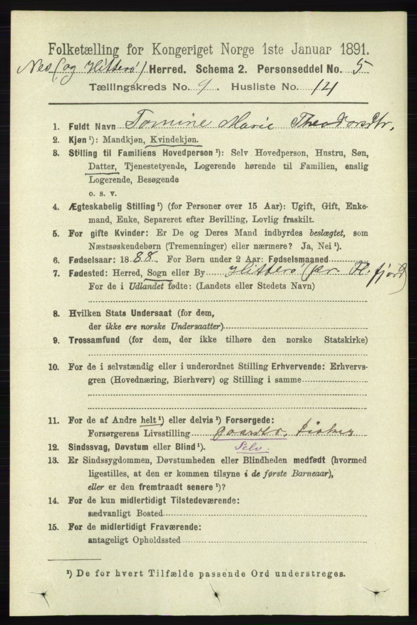 RA, 1891 census for 1043 Hidra og Nes, 1891, p. 3844