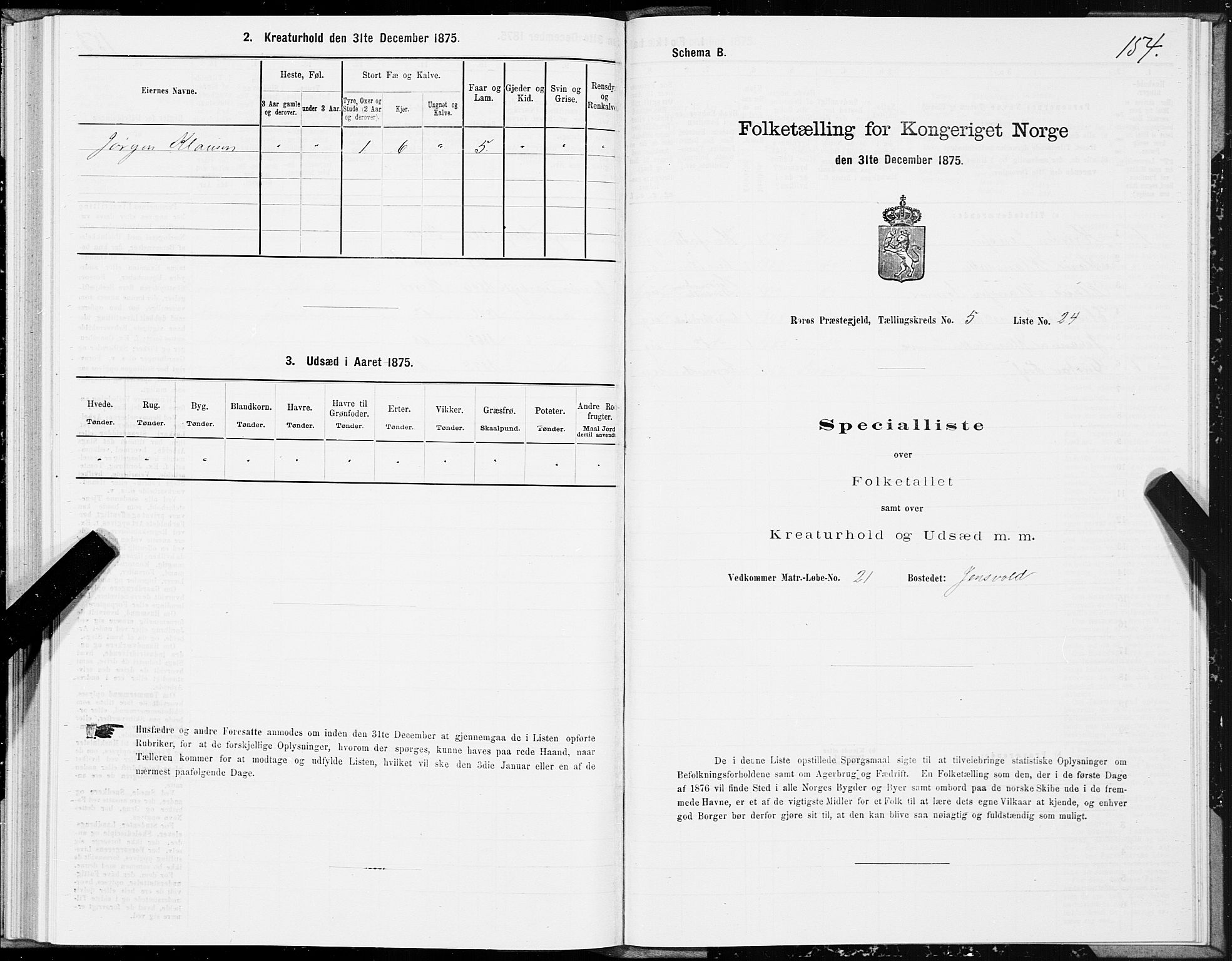 SAT, 1875 census for 1640P Røros, 1875, p. 3154