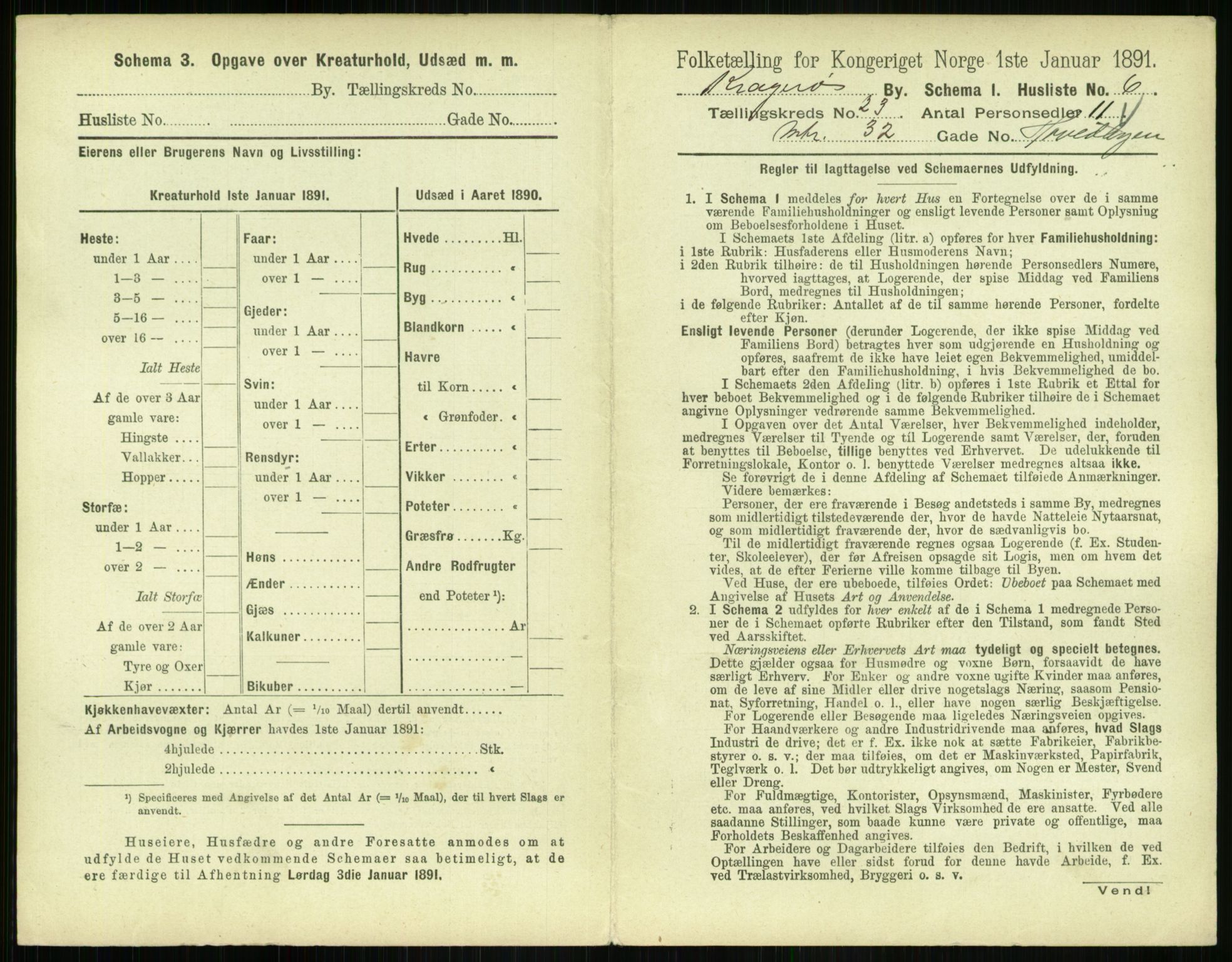 RA, 1891 census for 0801 Kragerø, 1891, p. 894