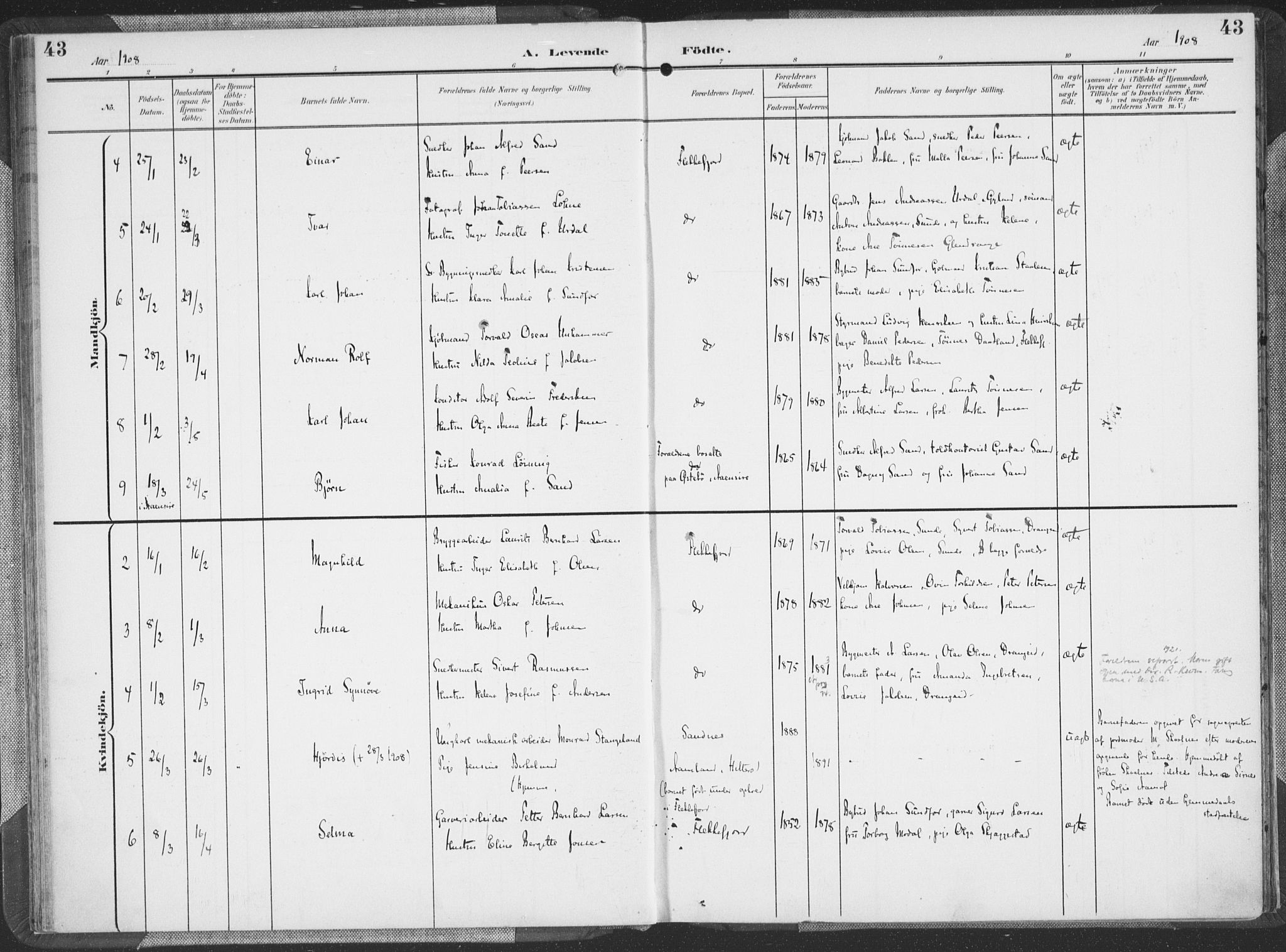 Flekkefjord sokneprestkontor, AV/SAK-1111-0012/F/Fa/Faa/L0002: Parish register (official) no. A 2, 1900-1912, p. 43