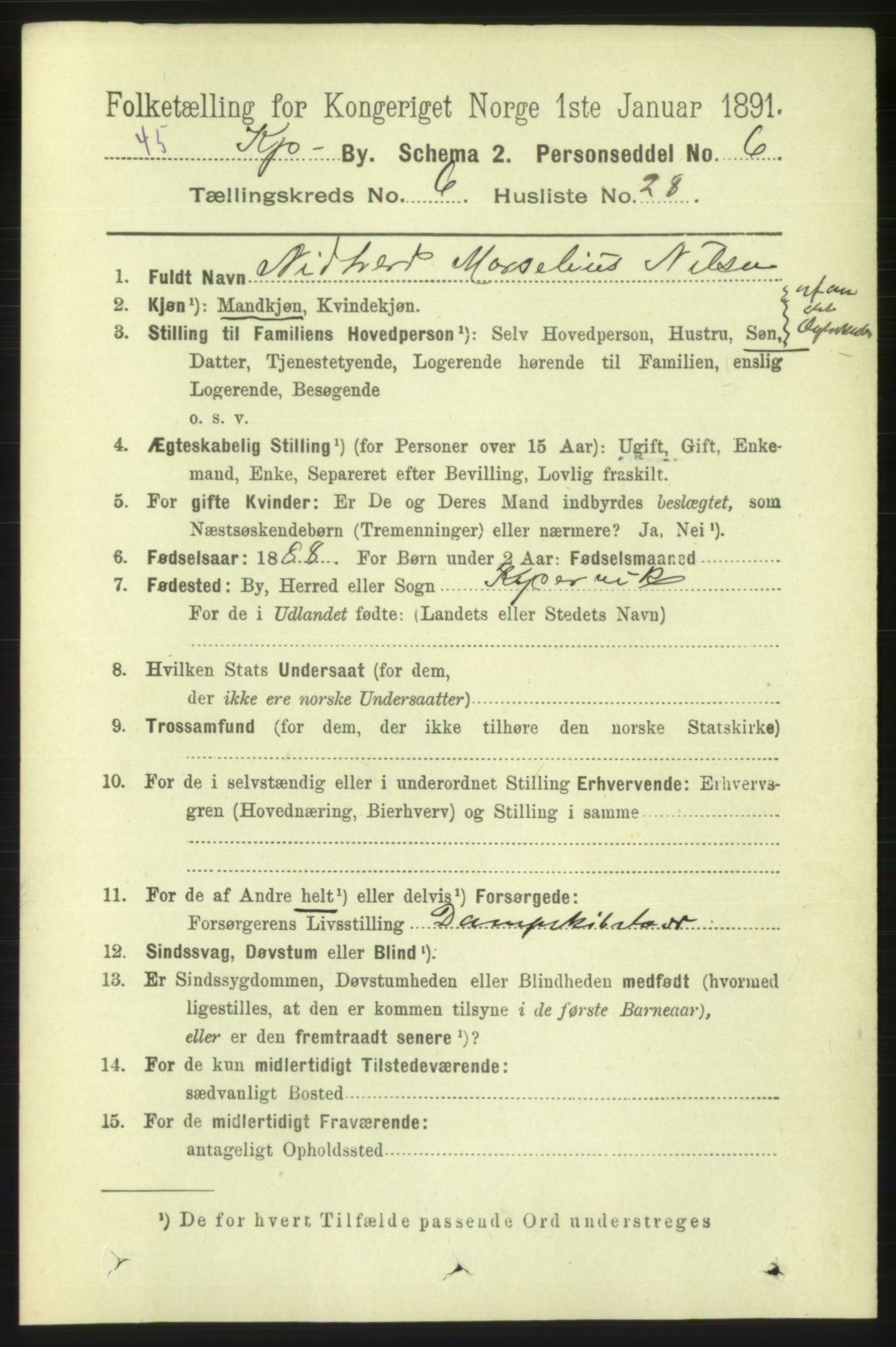 RA, 1891 census for 1105 Kopervik, 1891, p. 869