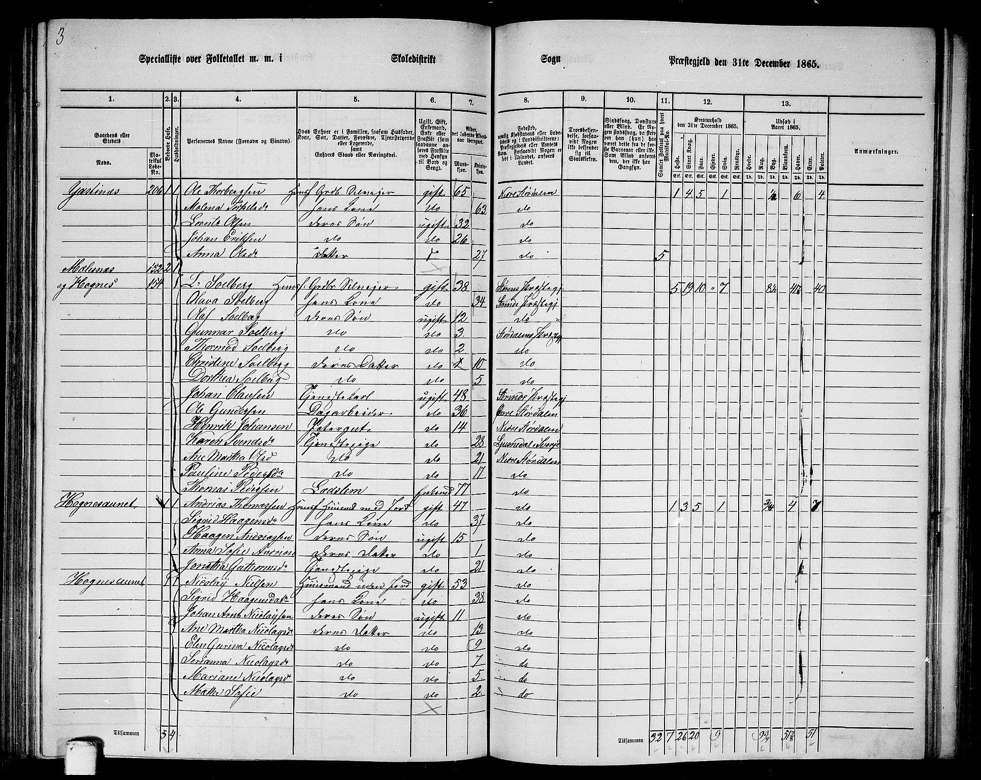 RA, 1865 census for Nedre Stjørdal, 1865, p. 191