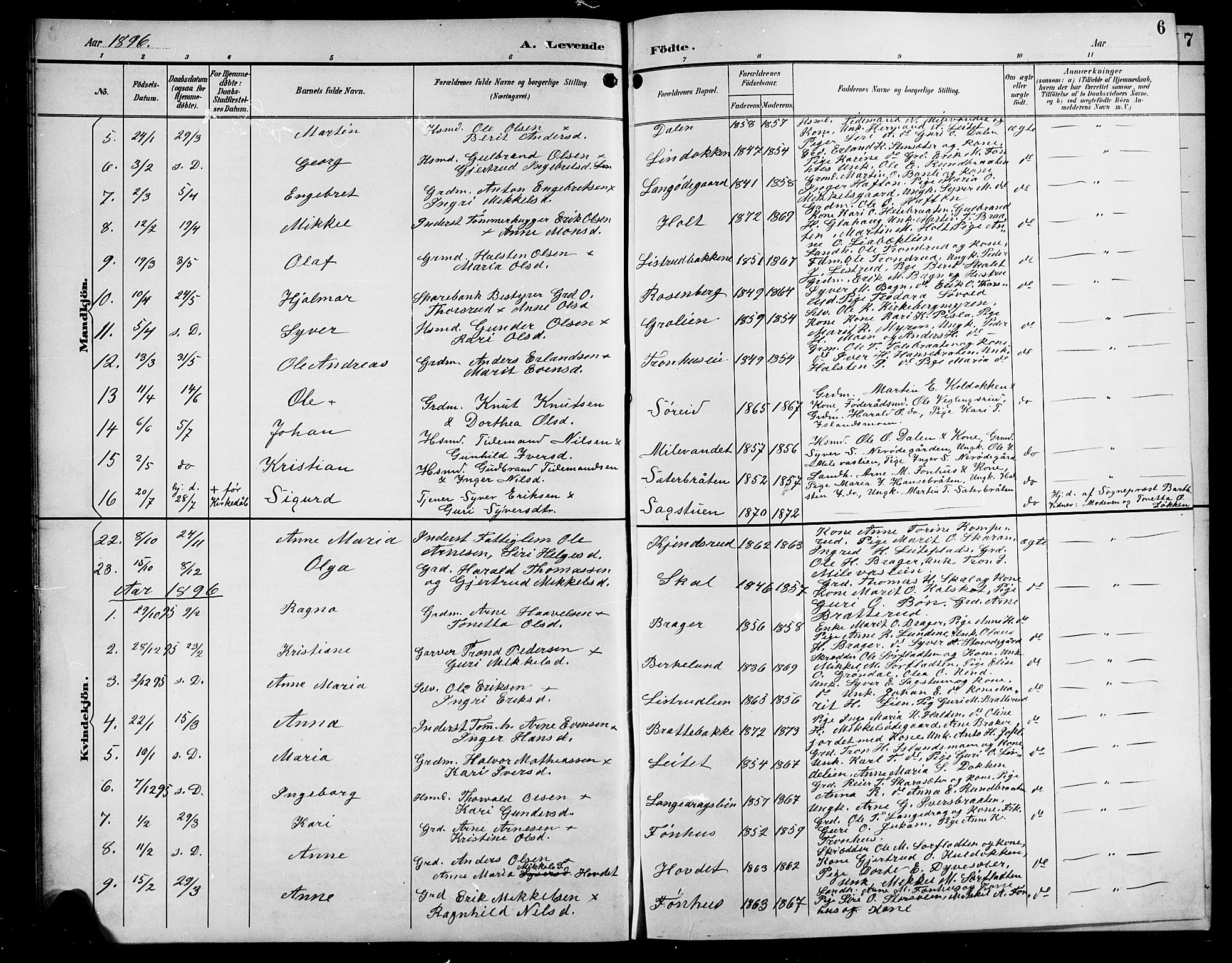 Sør-Aurdal prestekontor, SAH/PREST-128/H/Ha/Hab/L0009: Parish register (copy) no. 9, 1894-1924, p. 6