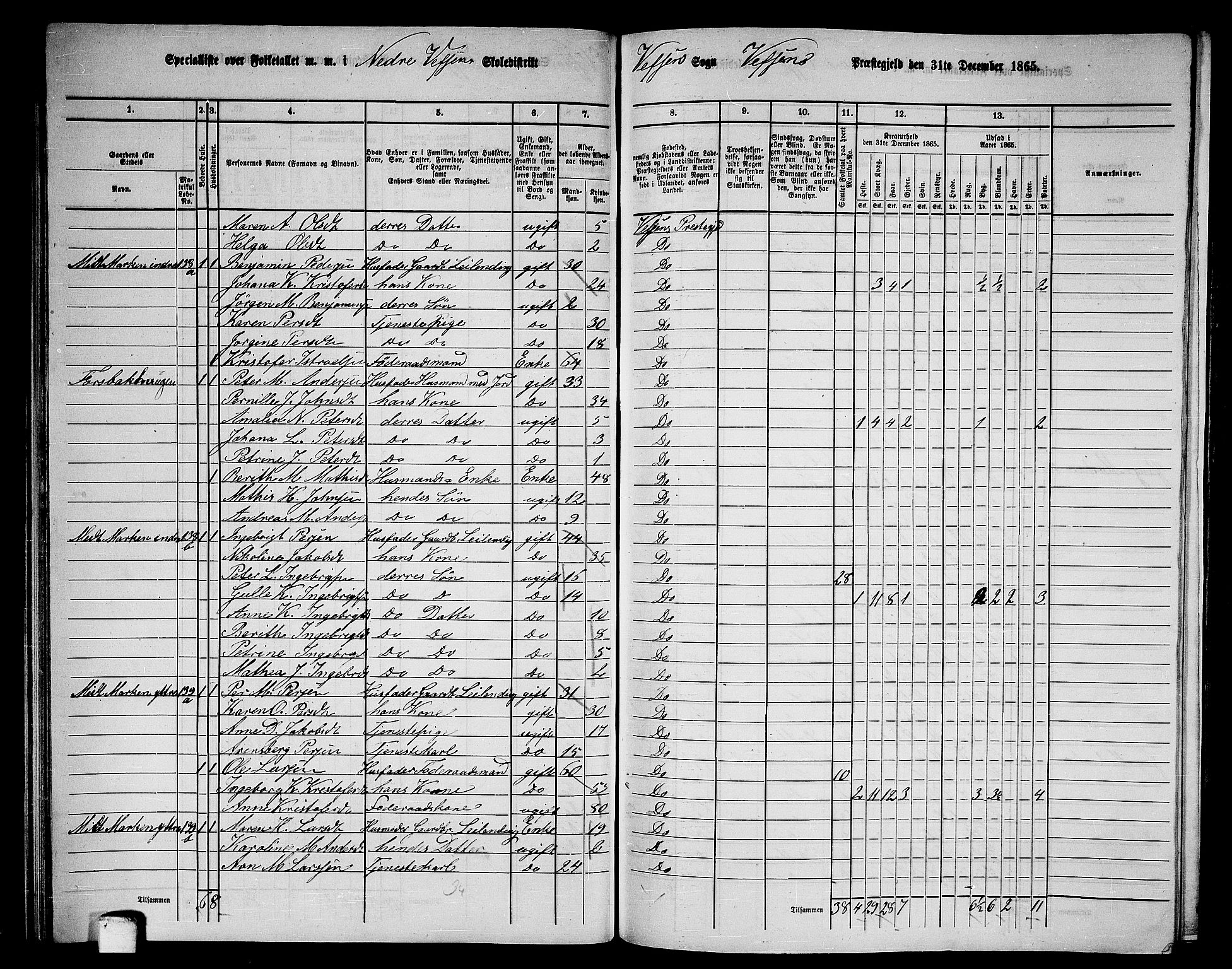 RA, 1865 census for Vefsn, 1865, p. 79