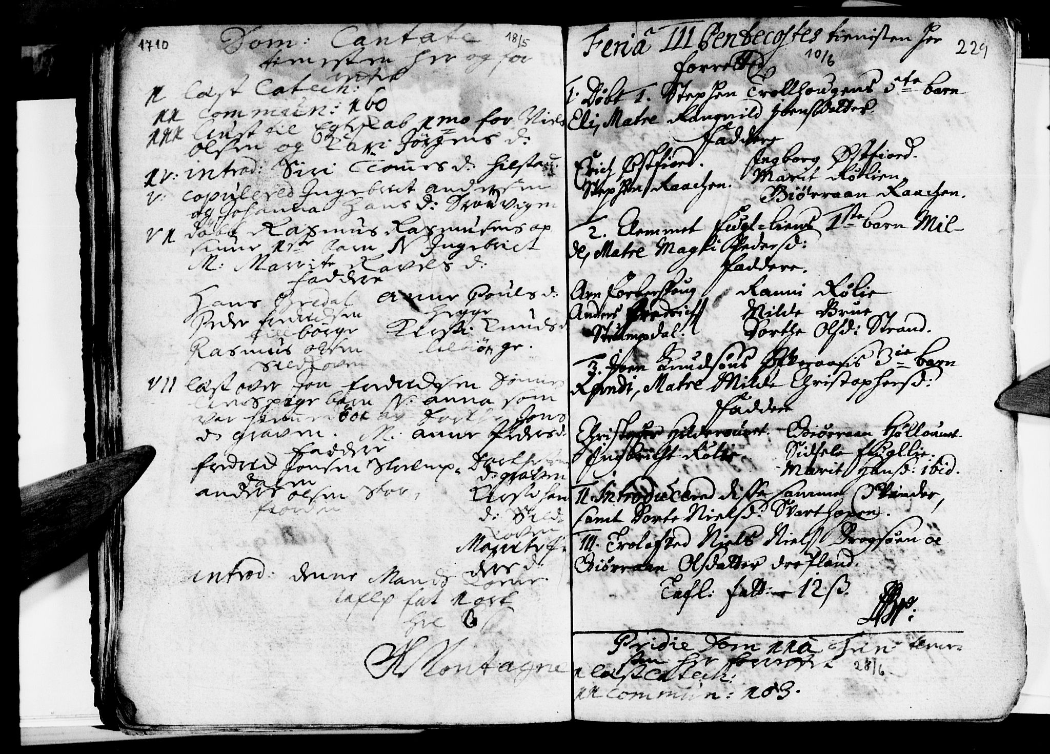 Ministerialprotokoller, klokkerbøker og fødselsregistre - Nordland, AV/SAT-A-1459/814/L0220: Parish register (official) no. 814A01, 1677-1717, p. 229