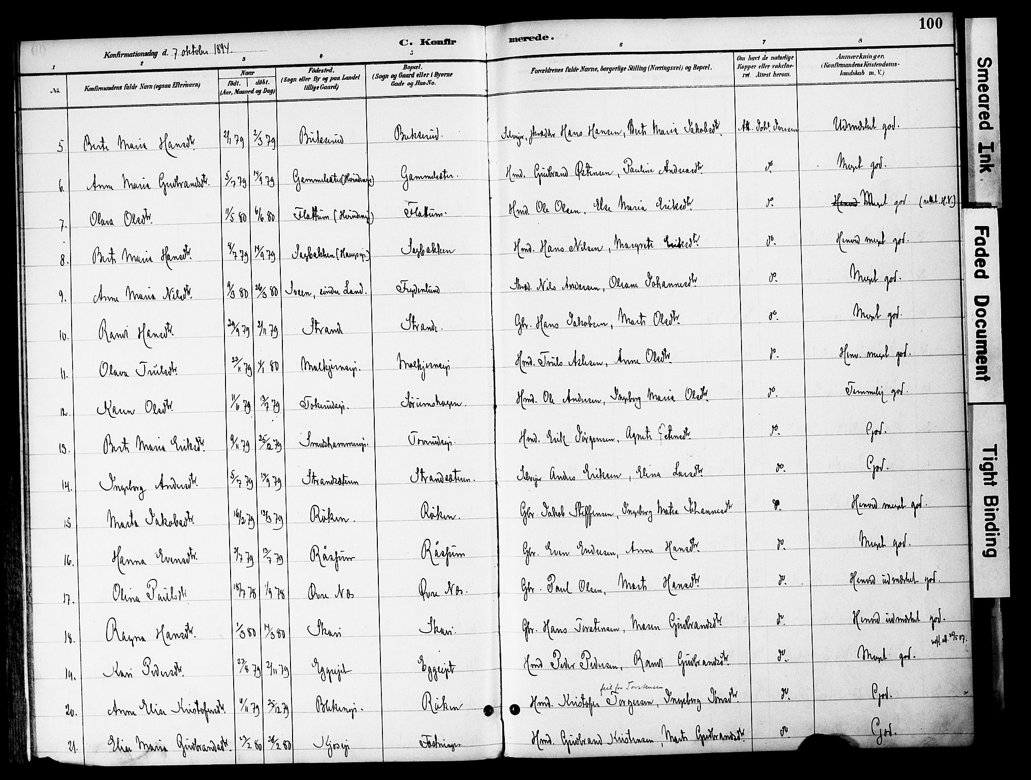 Gran prestekontor, AV/SAH-PREST-112/H/Ha/Haa/L0020: Parish register (official) no. 20, 1889-1899, p. 100